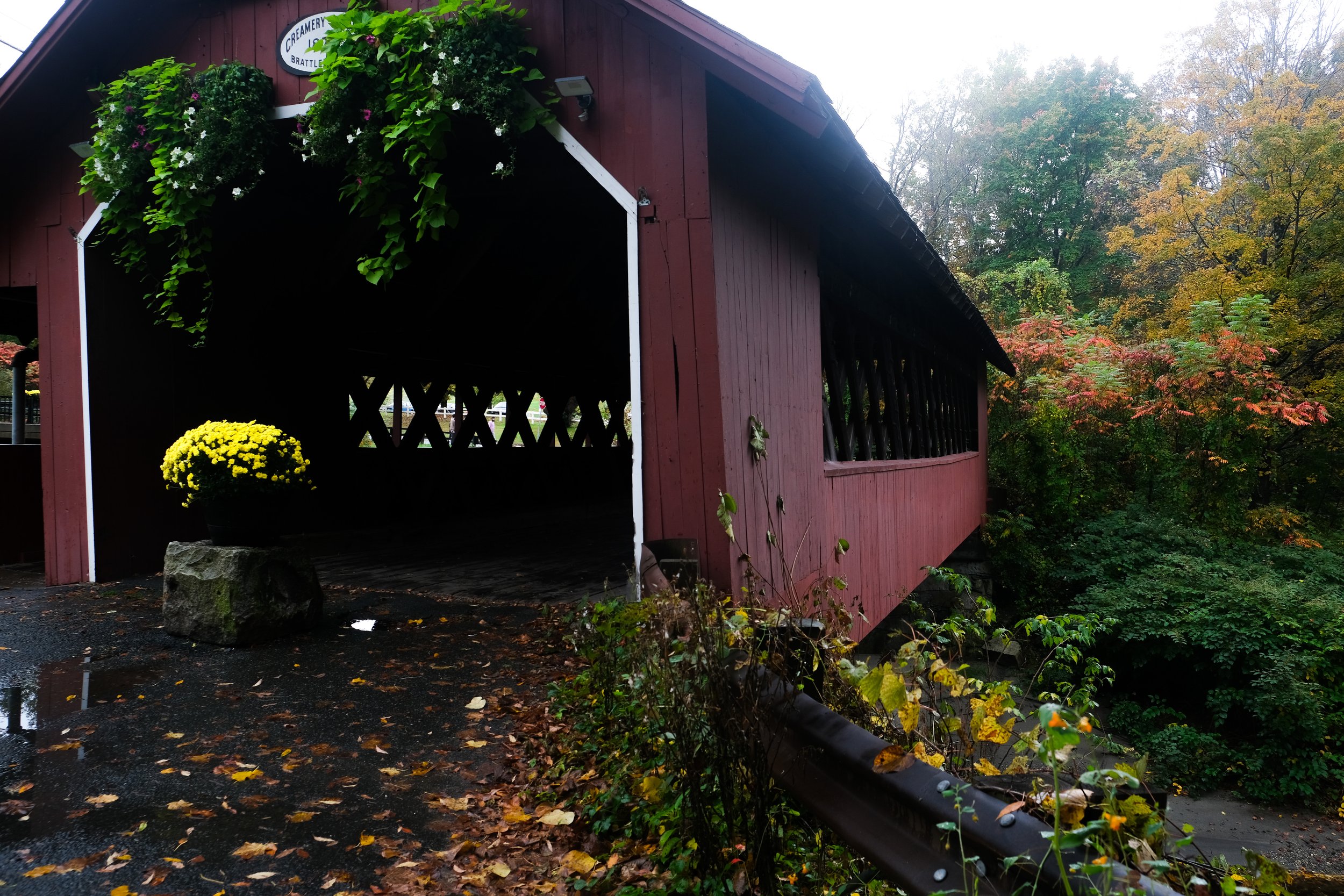 DSCF2708.jpg