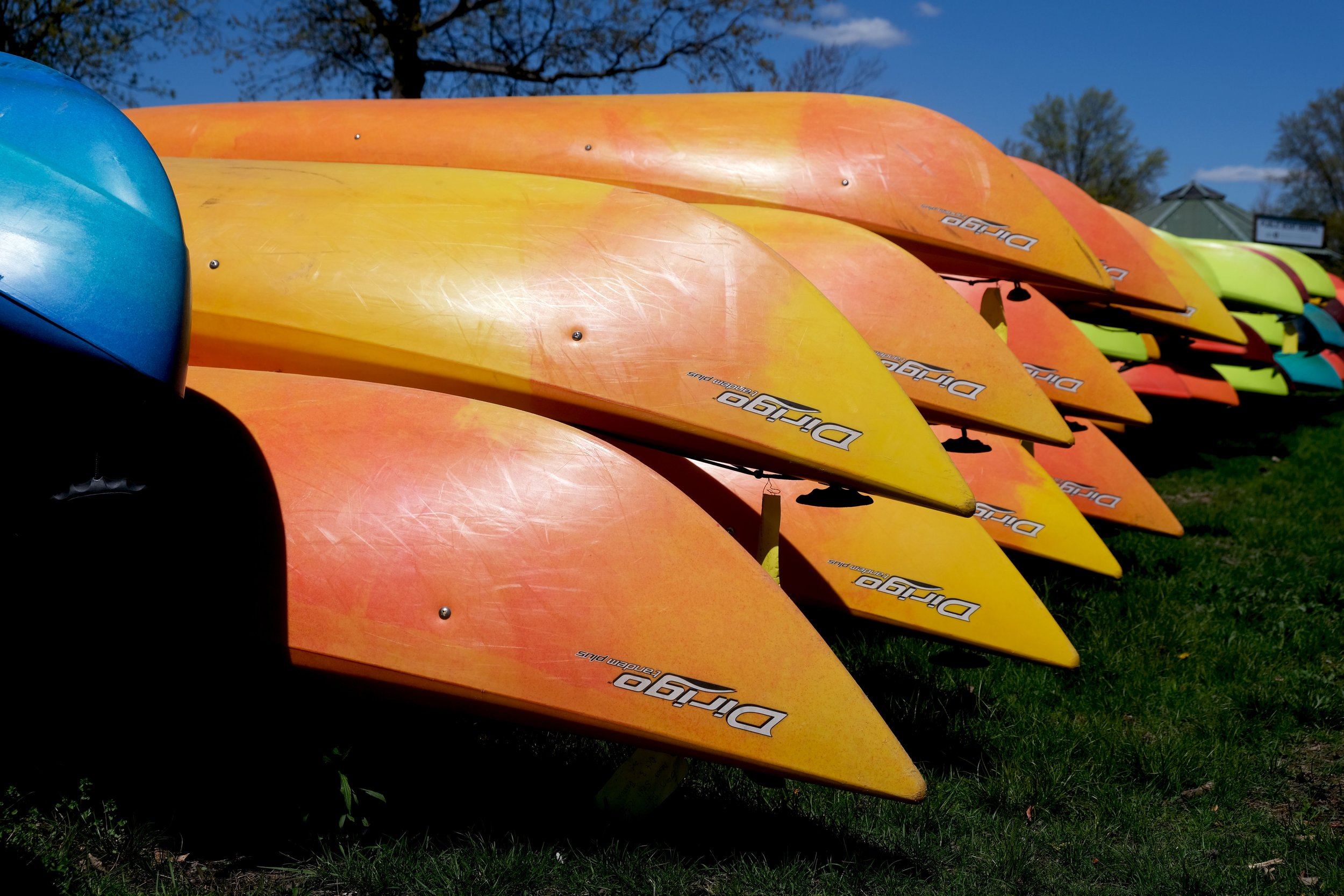 DSCF1558.jpg