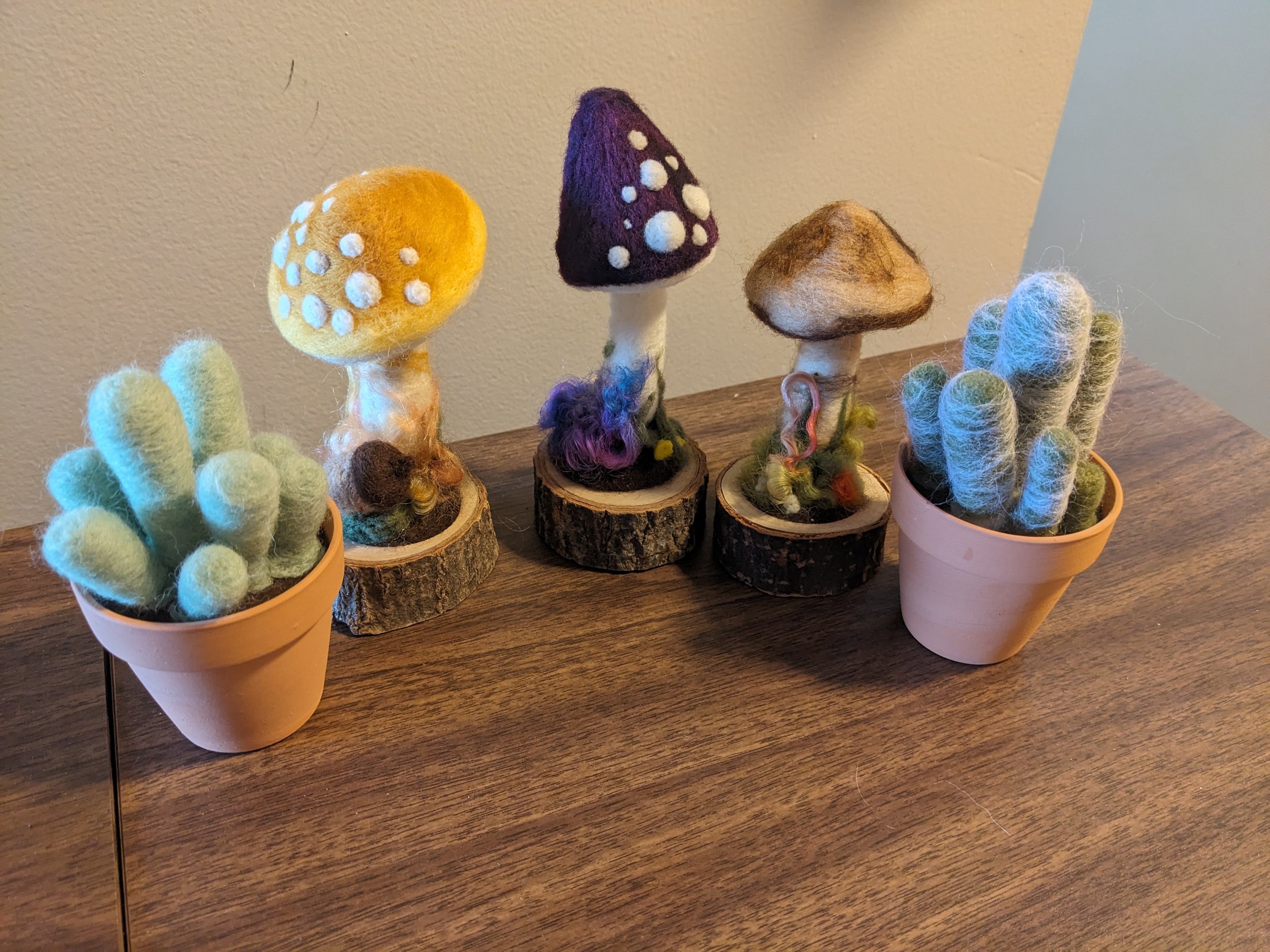 Needle Felted mushrooms and succulents