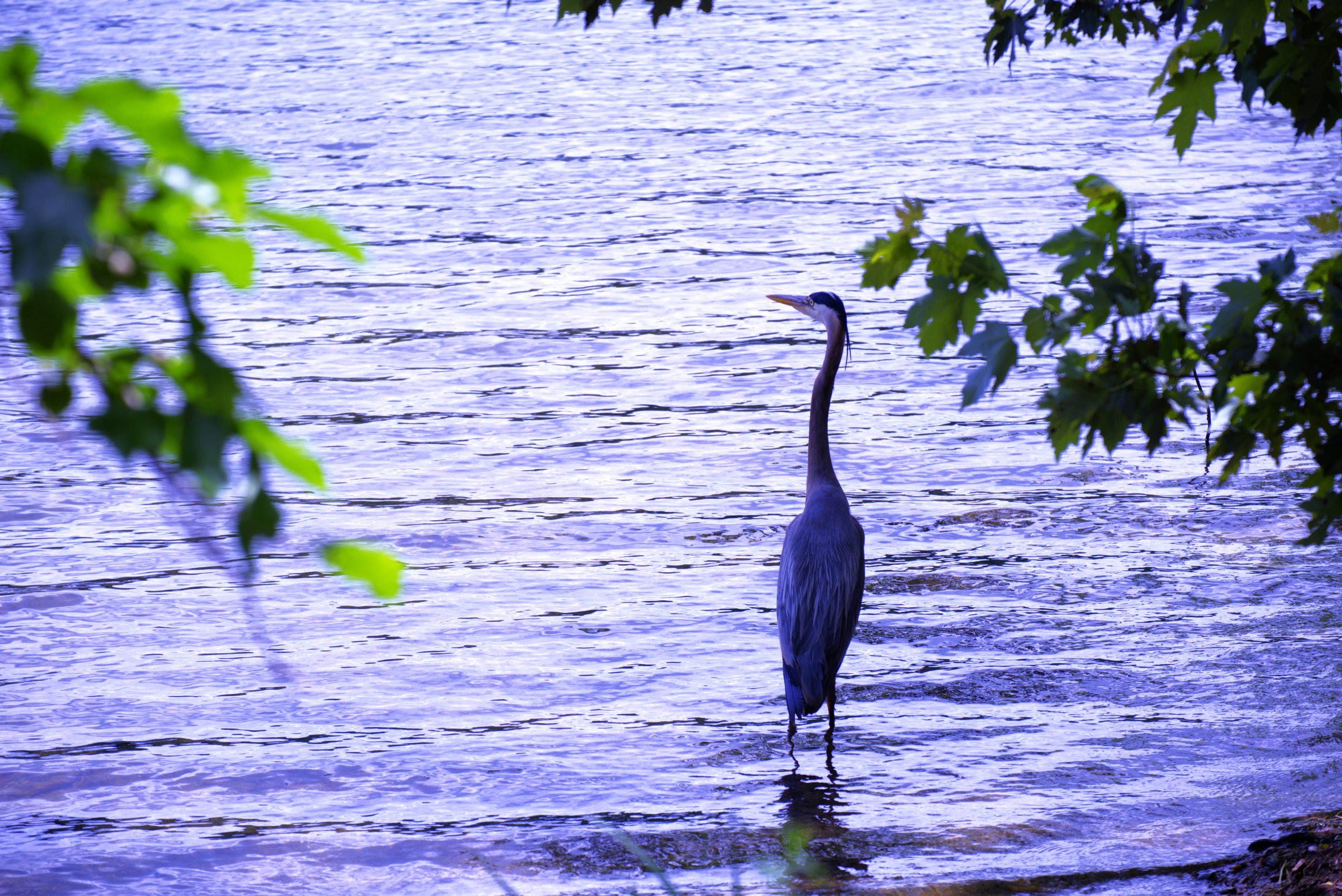 DSCF1945.jpg