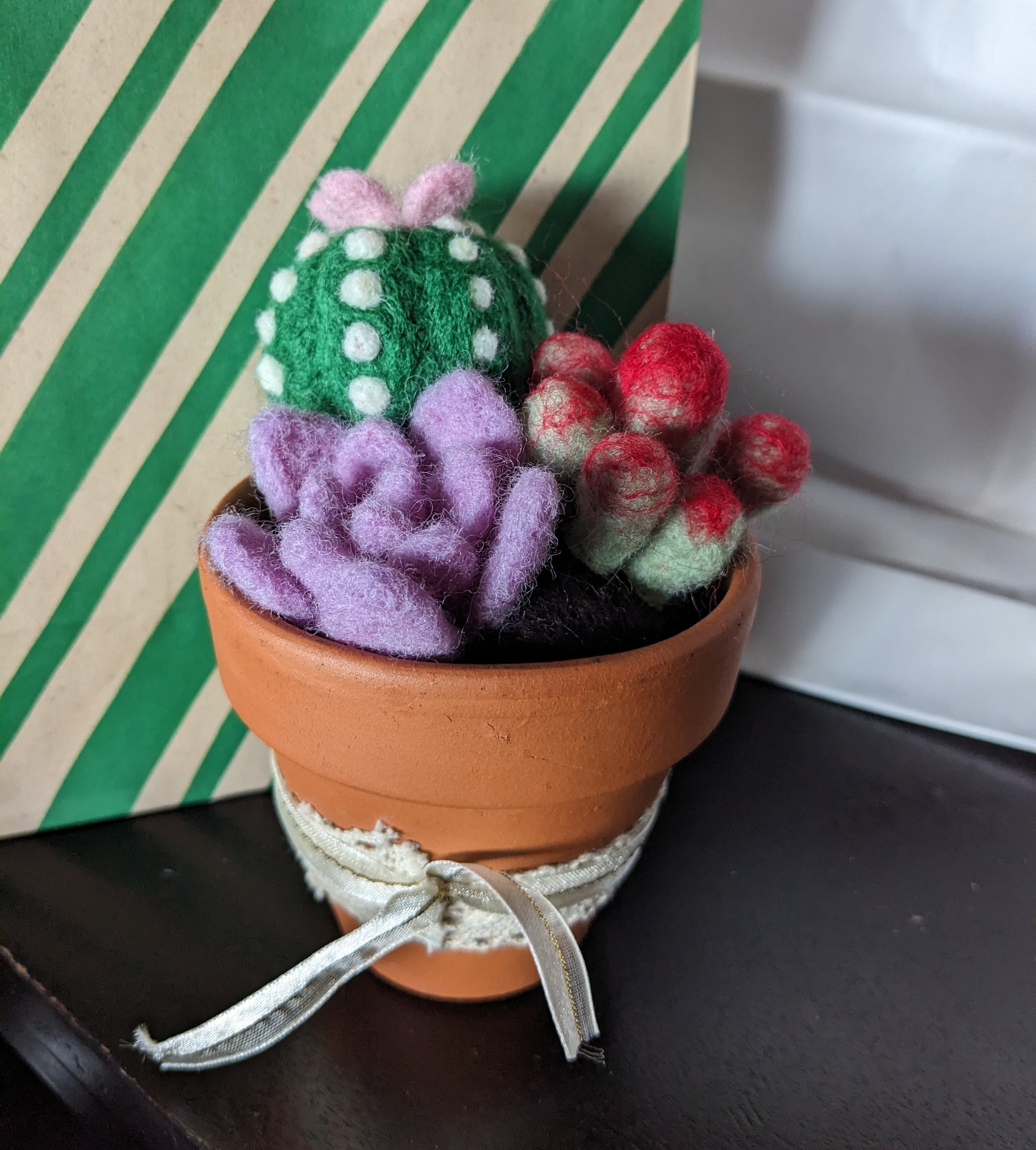 needle felted collection of succulents and cacti