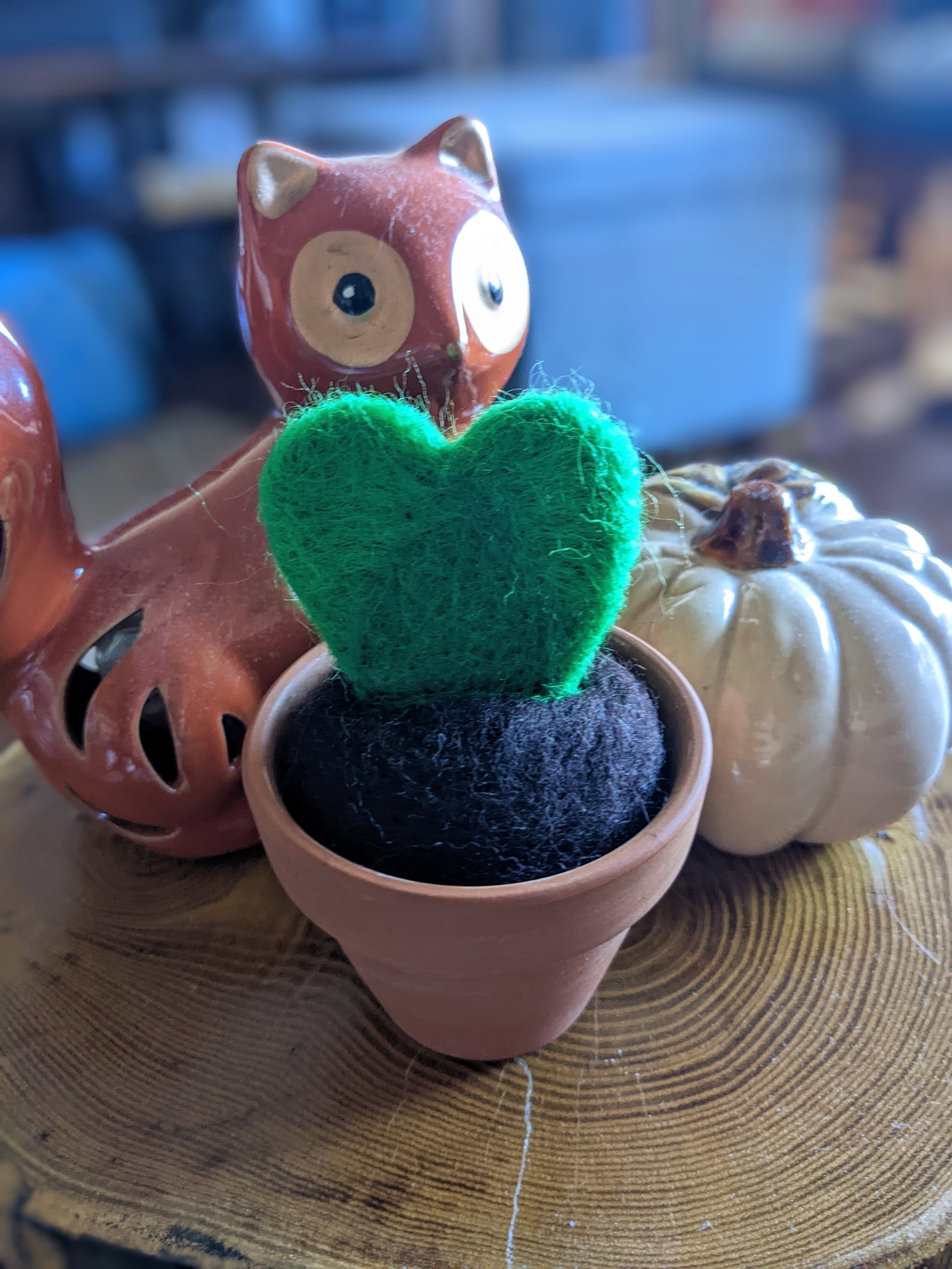 needle felted succulent