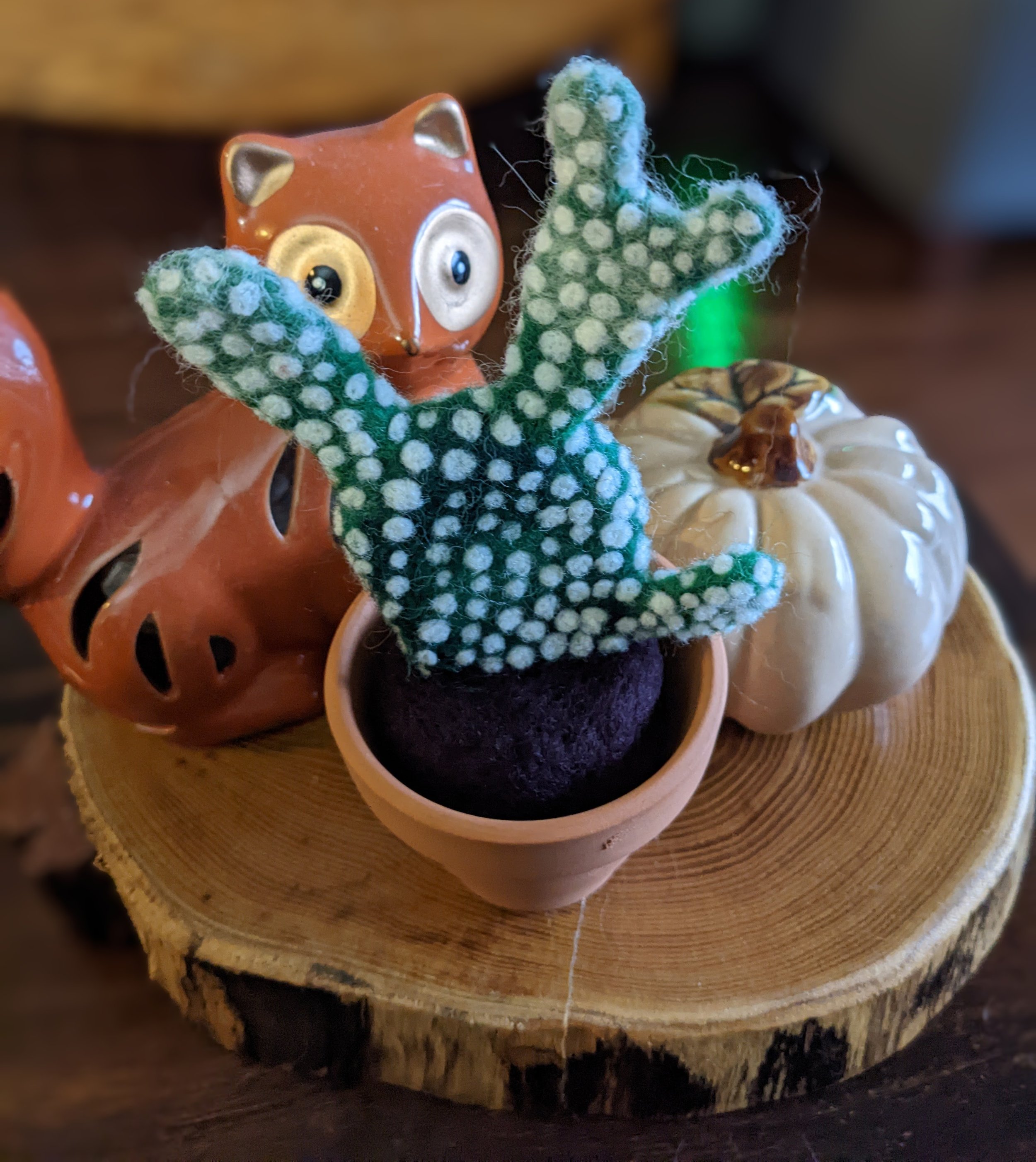 needle felted cacti