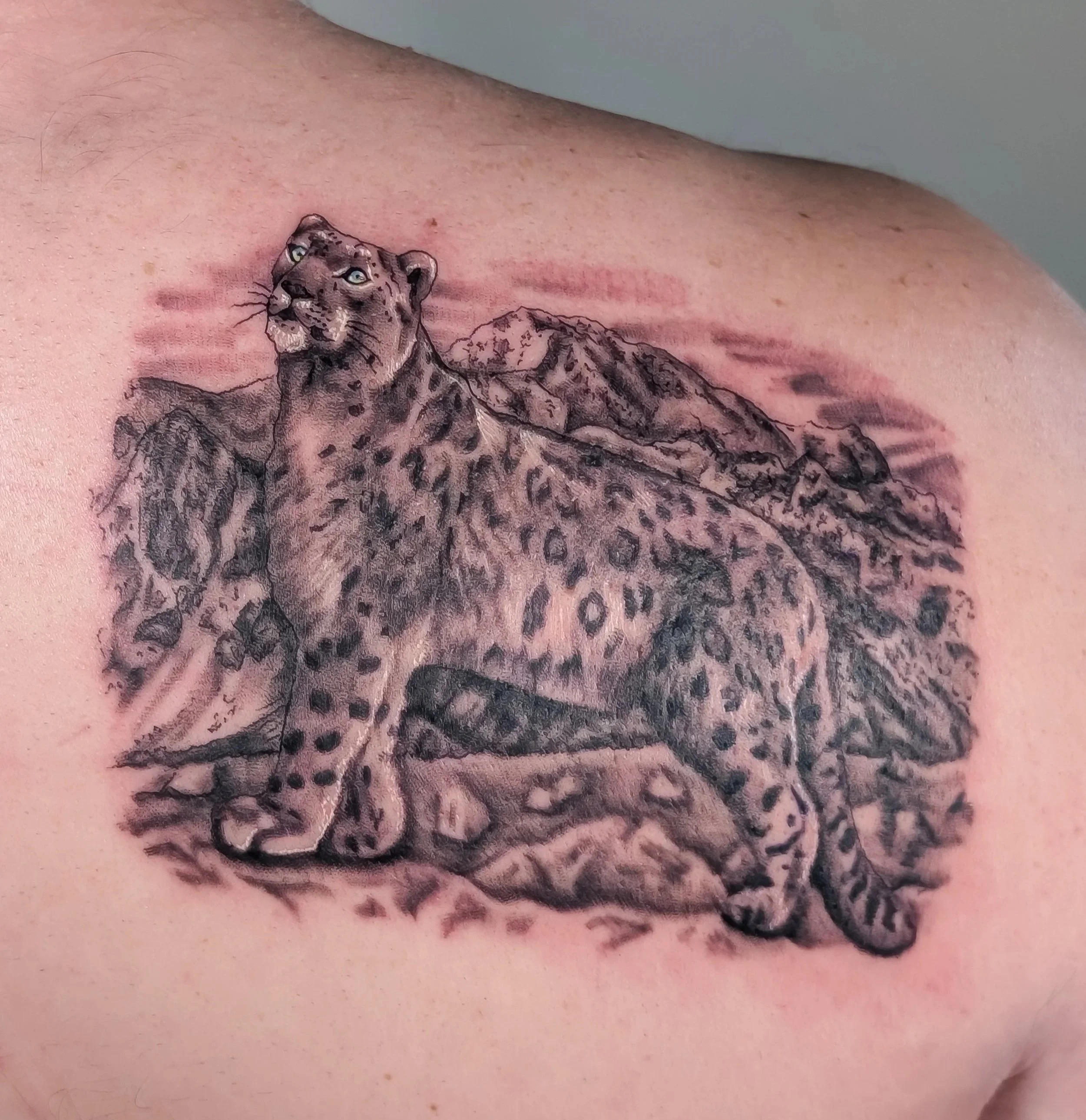 Tattoo of a big cat, possibly a leopard or jaguar, on a person's skin.
