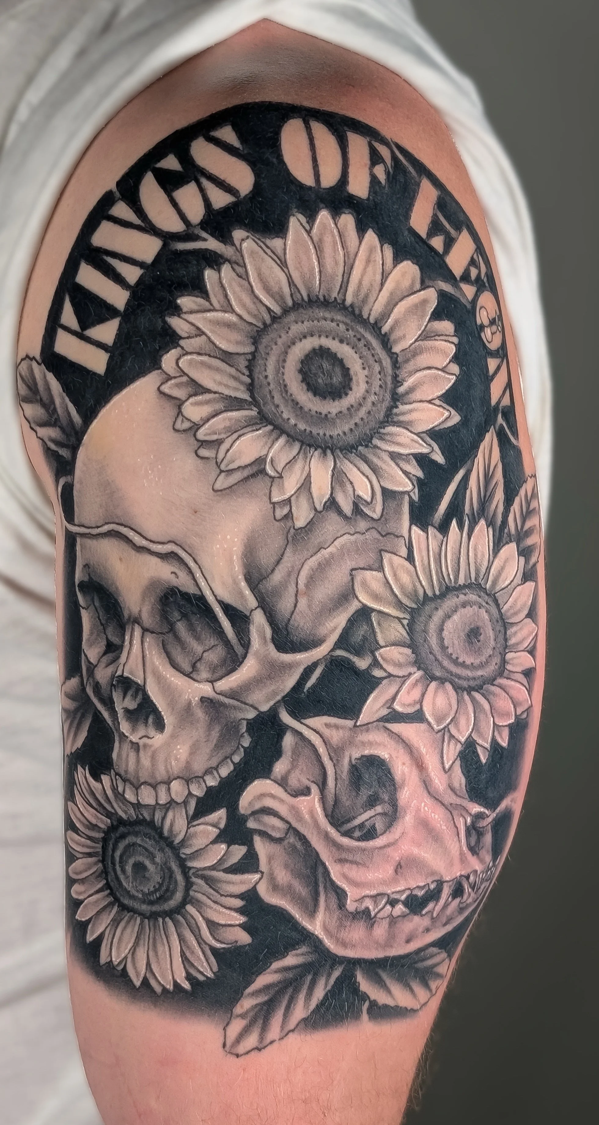 A band t-shirt style tattoo design featuring a human and boxer dog skull as well as flowers and a logo for the band Kings of Leon.  The tattoo features a saturated black background and high contrast black and grey elements.  It fits perfectly on the 