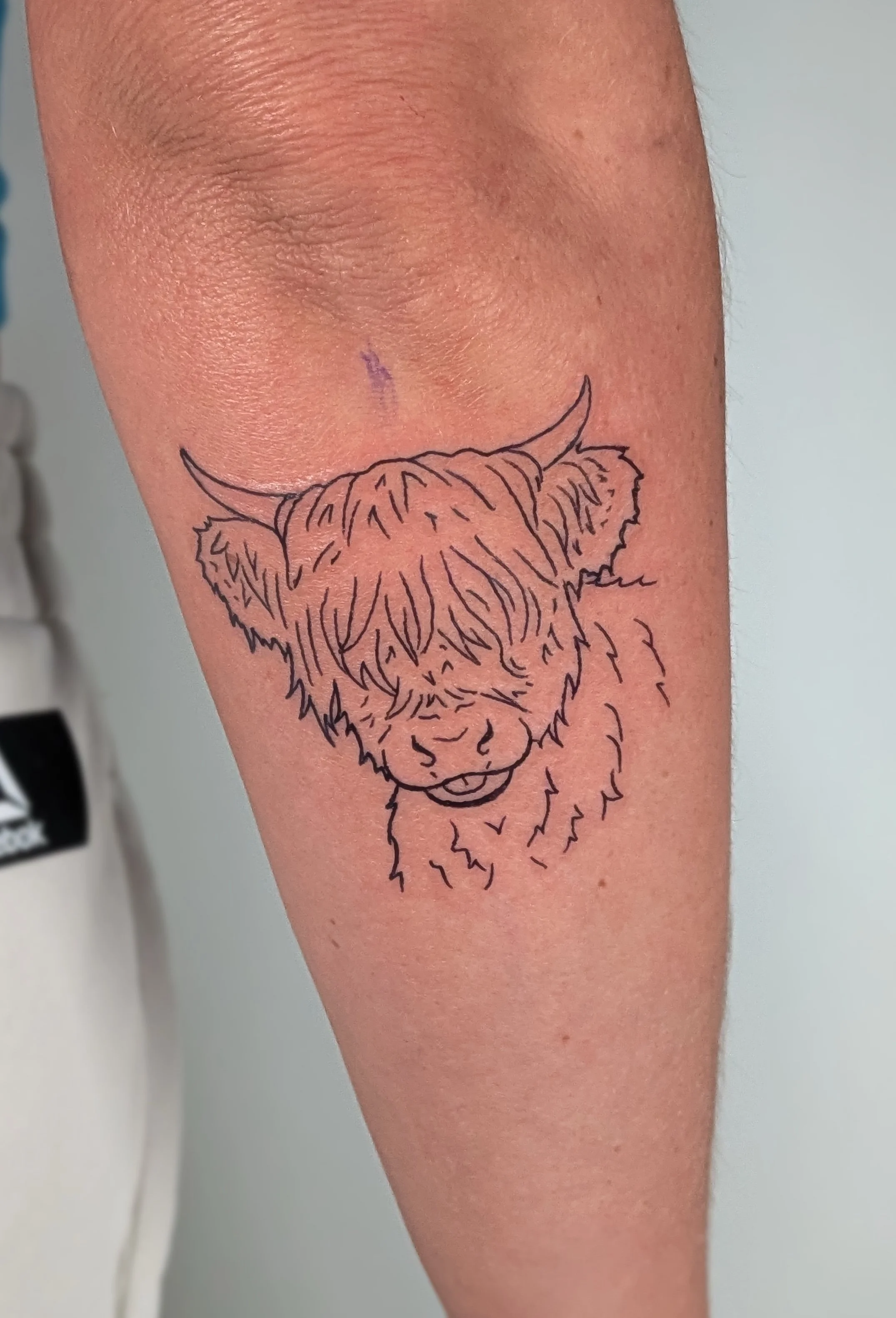 Tattoo of a dog's face with floppy ears and a friendly expression on a person's arm.