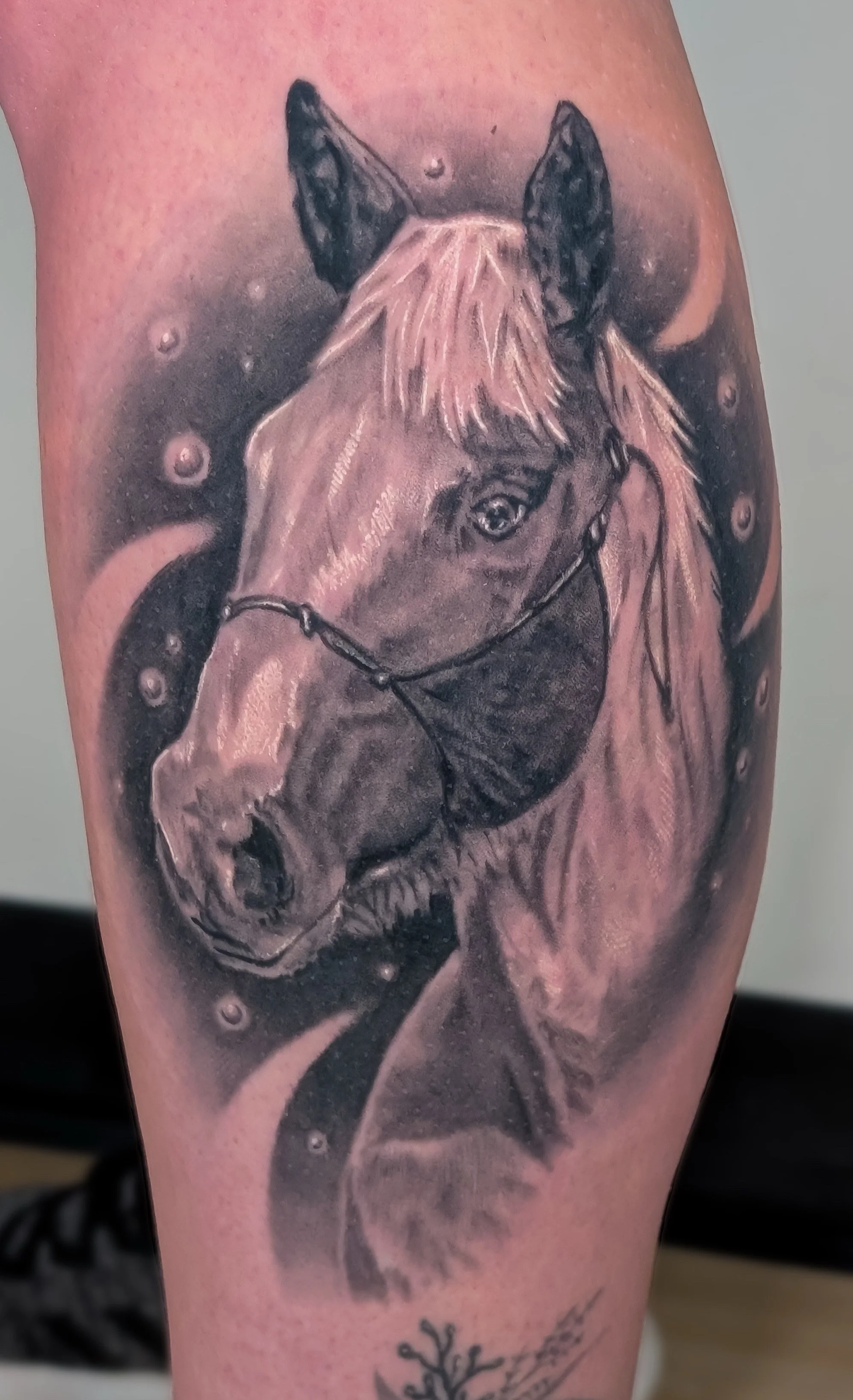 A soft and detailed tattoo of the client's favorite horse.  It features high contrast, lots of depth, bright white highlights, and looks just like the reference photo.
