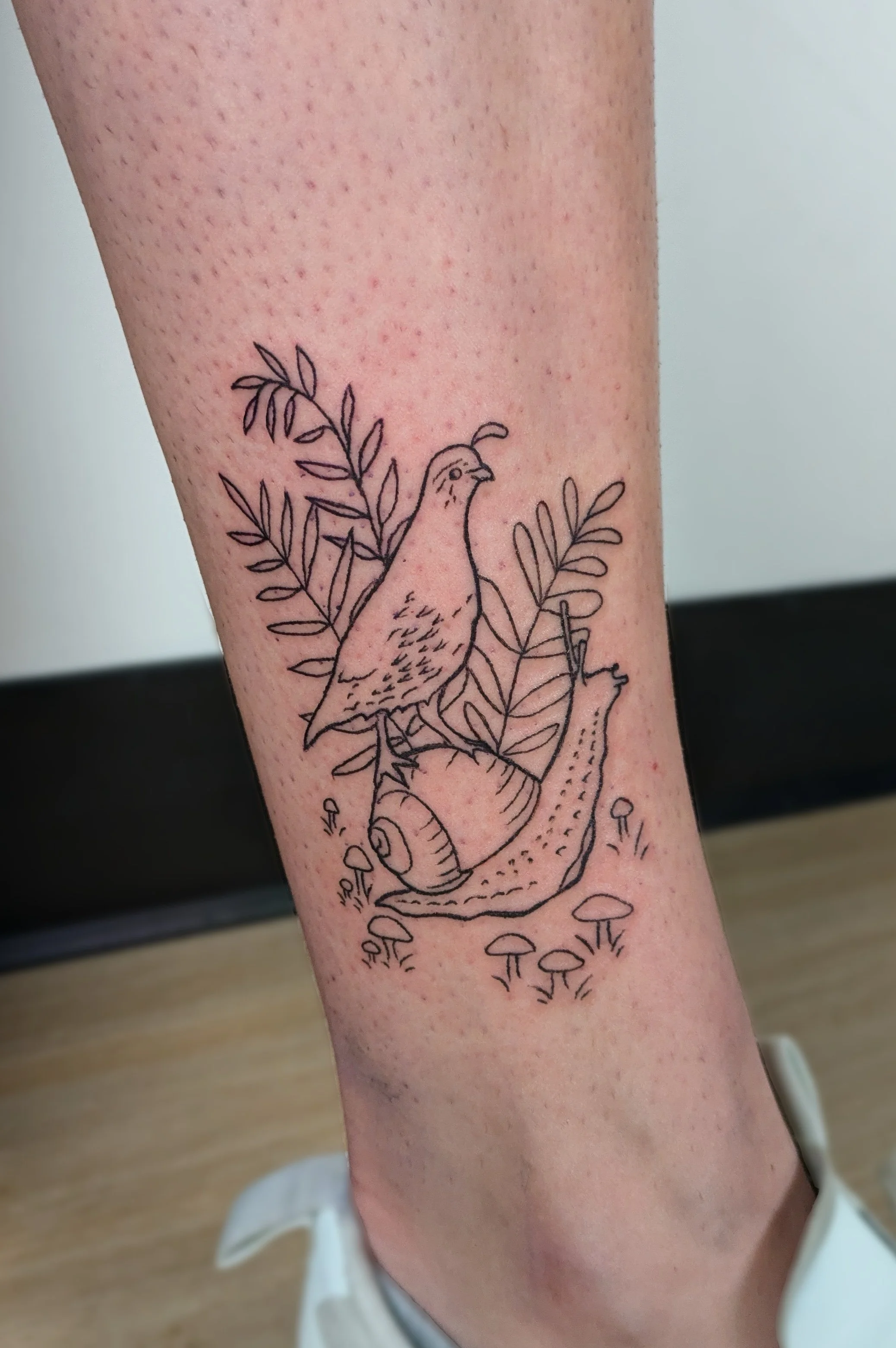 A black line tattoo on a person's forearm depicts a bird sitting on a curled branch surrounded by leaves and small mushrooms at the bottom.