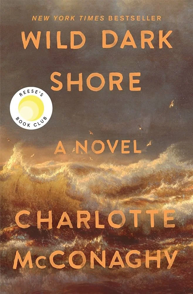 Wild Dark Shore by Charlotte McConghy
