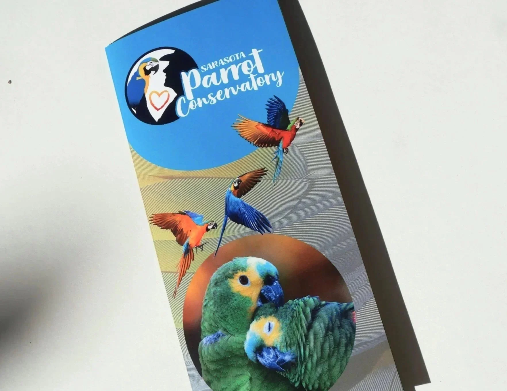 Sarasota Parrot Conservatory Brochure