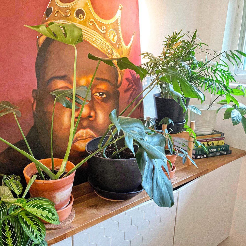 1000-Interests_Houseplants_Biggie.jpg
