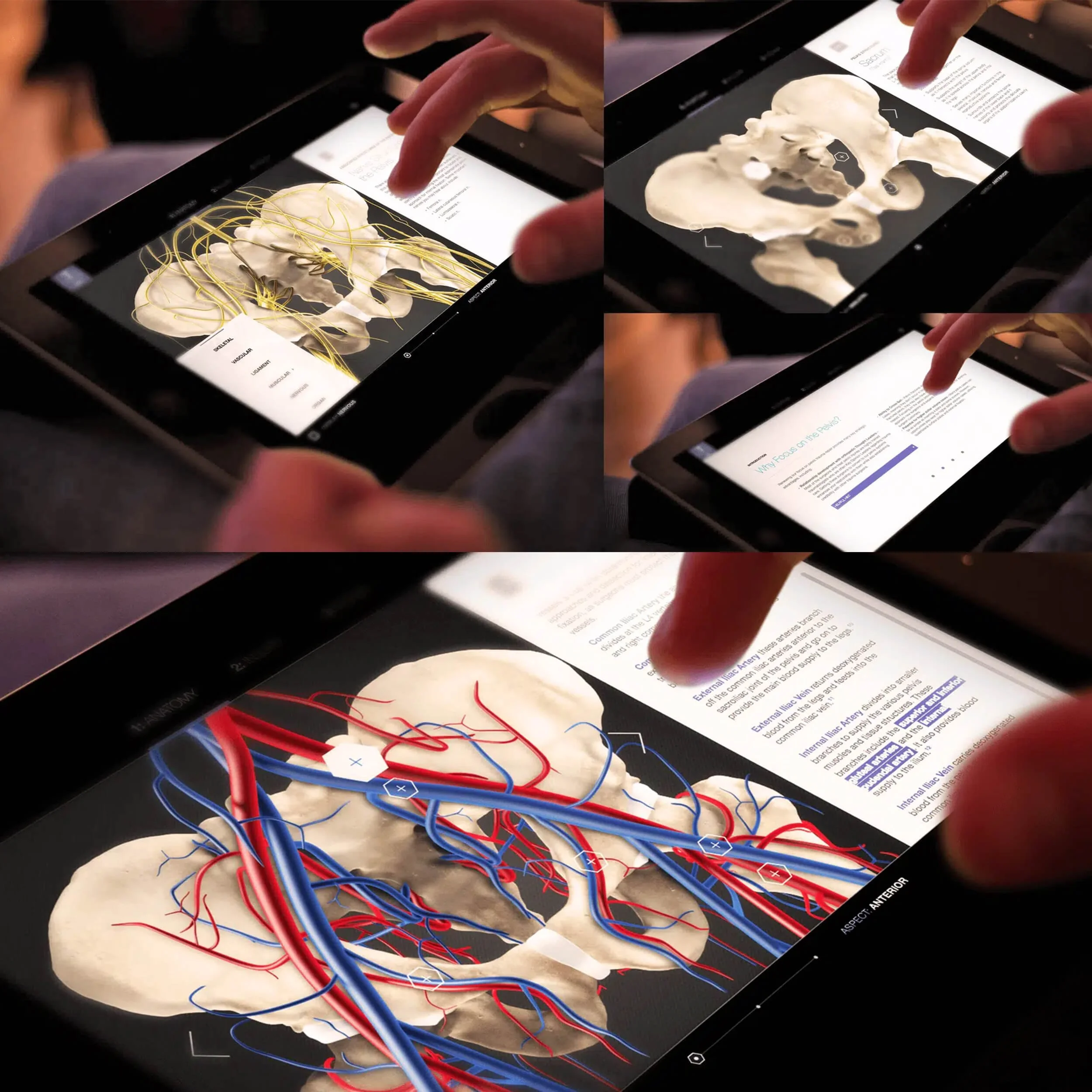 (2/3) Stryker Orthopedics Sales Personnel Education IPad App