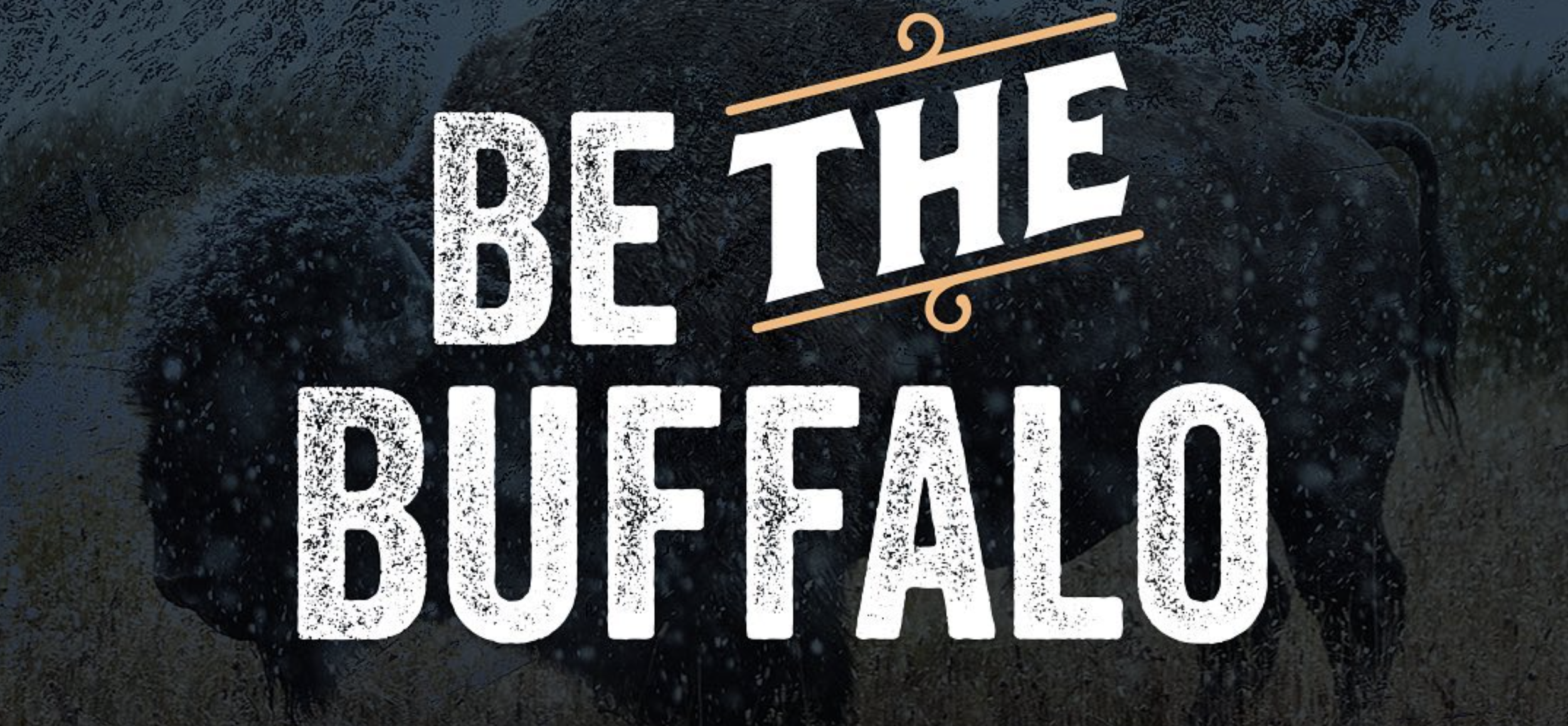 Buffalo Culture resource preview