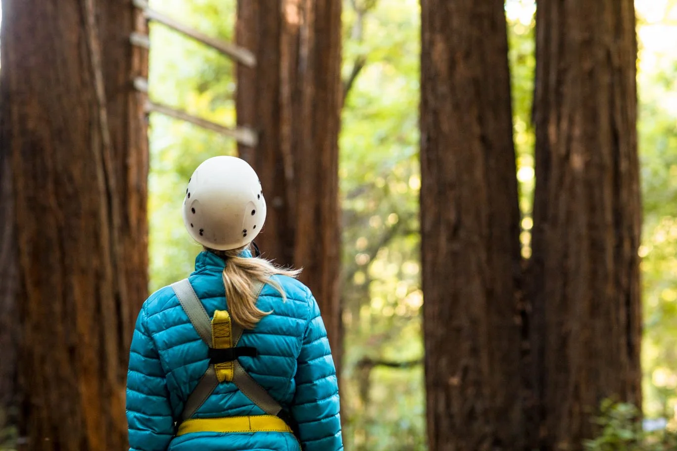 A person wearing a blue puffer jacket, yellow climbing harness and a white climbing helmet, standing in a forest with tall trees and green foliage looking at a ropes course element.