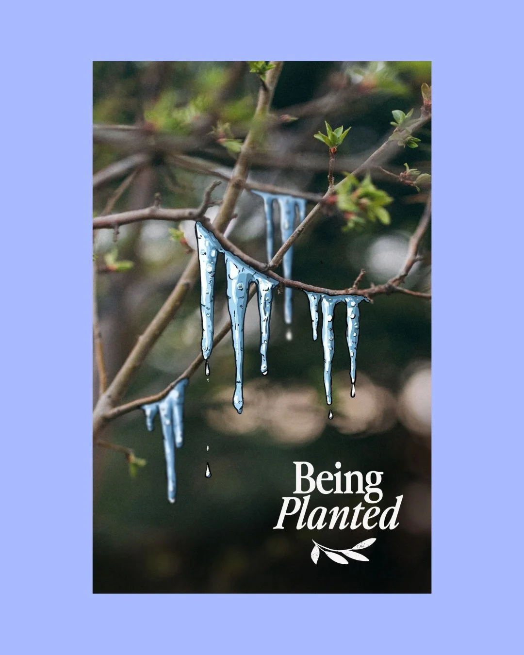 The Winter Blues have been setting in...
Somatic Therapy can help you mange these feelings with some body-centered techniques to release tension.

One way is through Grounding Techniques - Connect with the present moment by feeling the weight of your