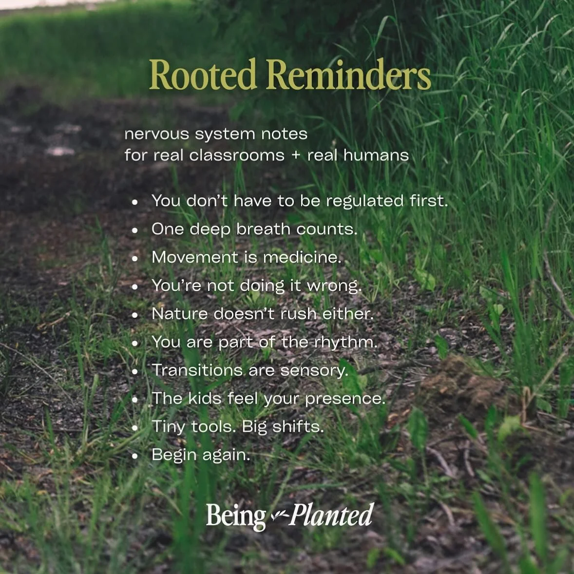 Dear Teacher,
You don&rsquo;t have to be regulated first.
You don&rsquo;t have to have it all together.
You just have to begin again.

These Rooted Reminders were created for the real moments:
🌀 The transition spirals
🌪️ The snack-time meltdowns
🌸