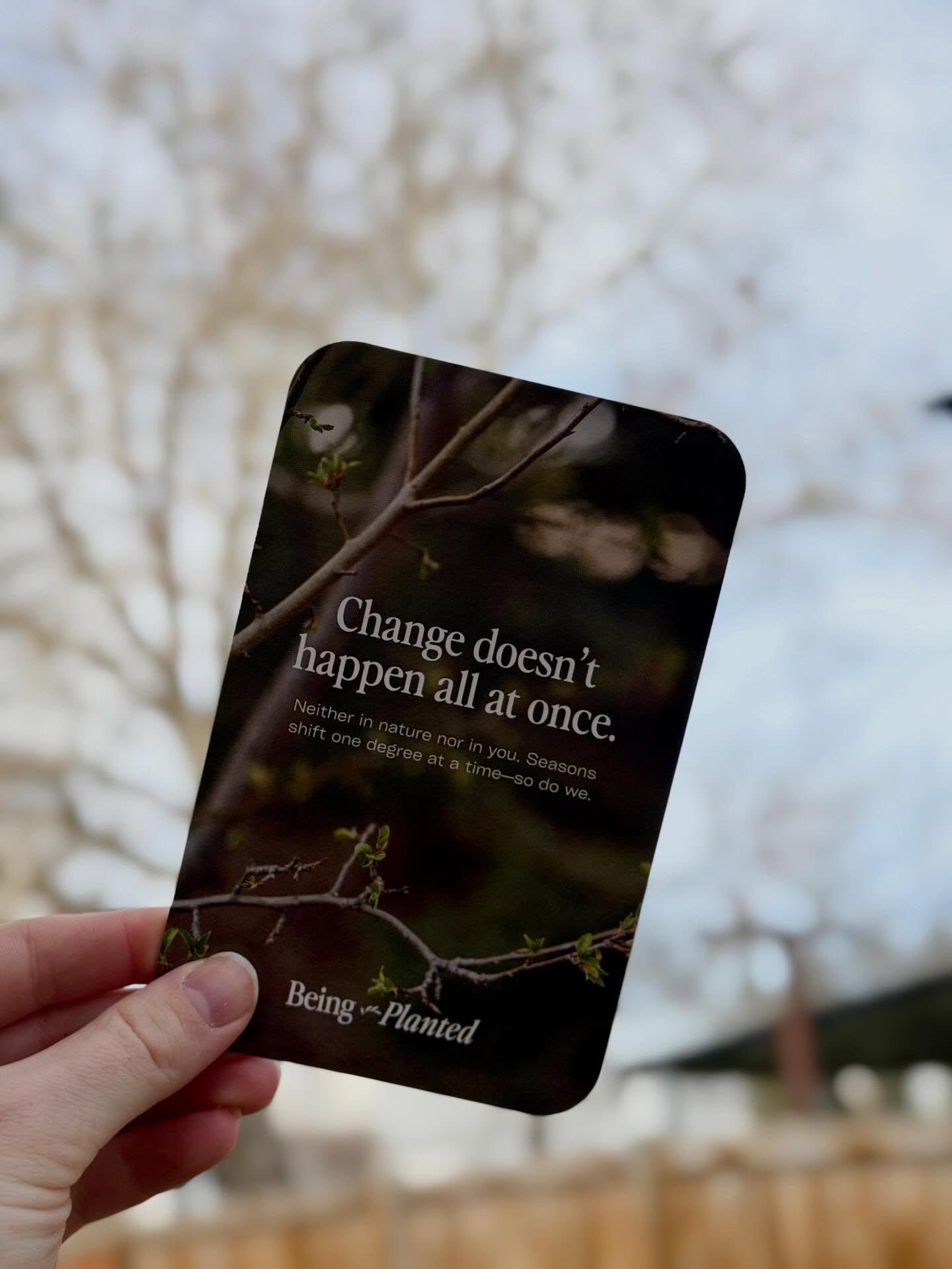 Change is scary but also necessary 🍃

#BeingPlanted #Change #SomaticTherapy #CardDeck #Seasons