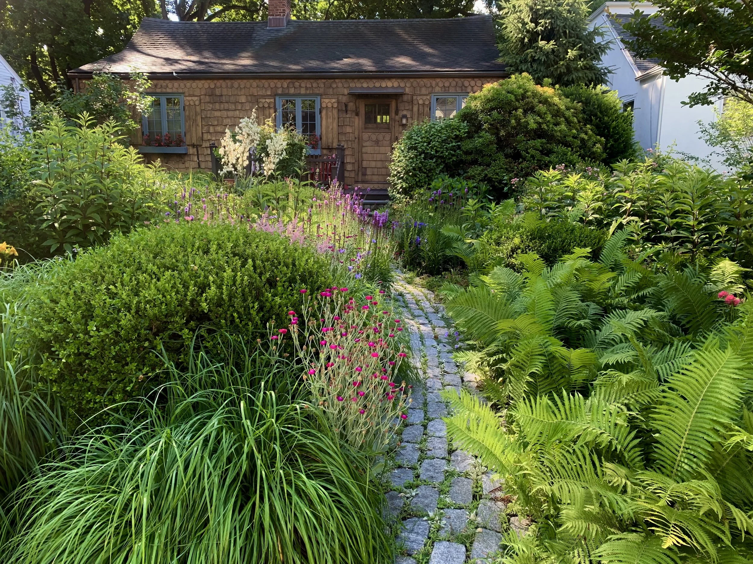 willhouby mostly native gardens larchmont ny .jpeg