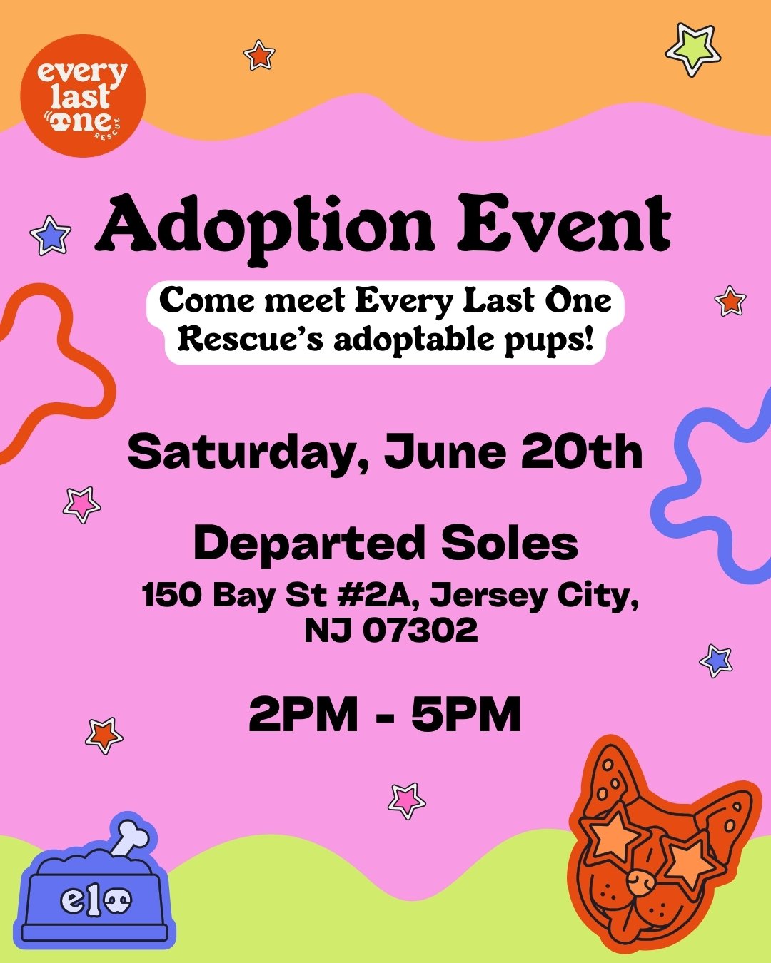 Adoptable Dogs!