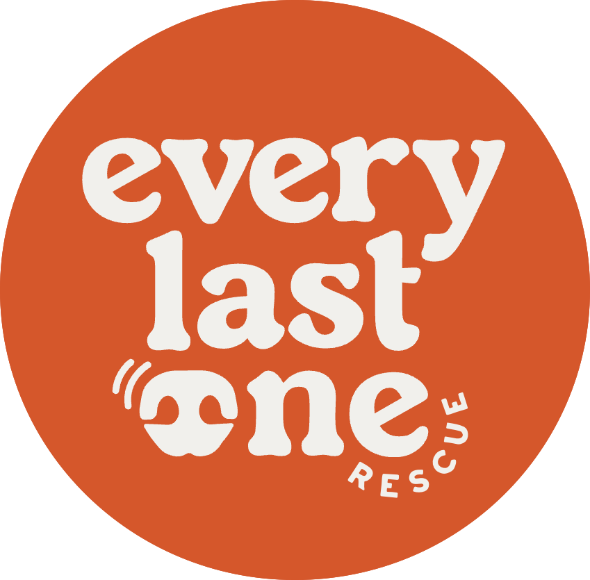 Every Last One Rescue