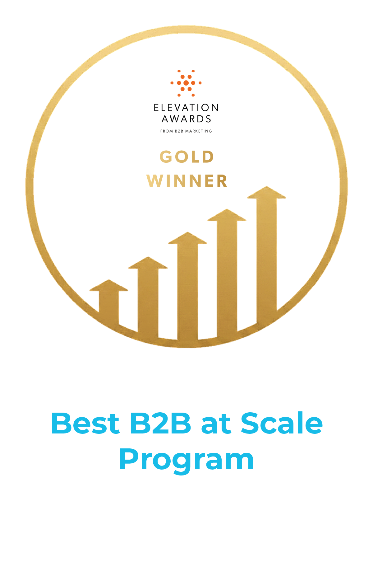 Motivforce Elevation Awards - Gold