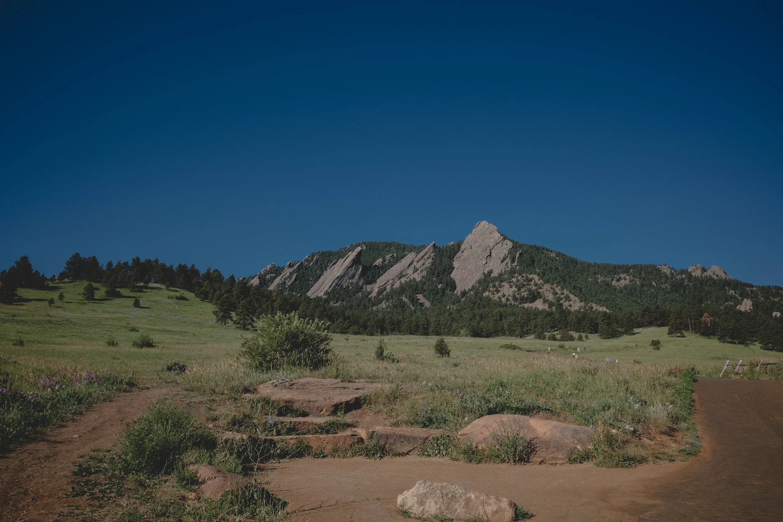 Darryl Kelly Moments Collection x summer -- 2024-178.jpg
