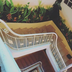 5 Steps If You Are In Transition