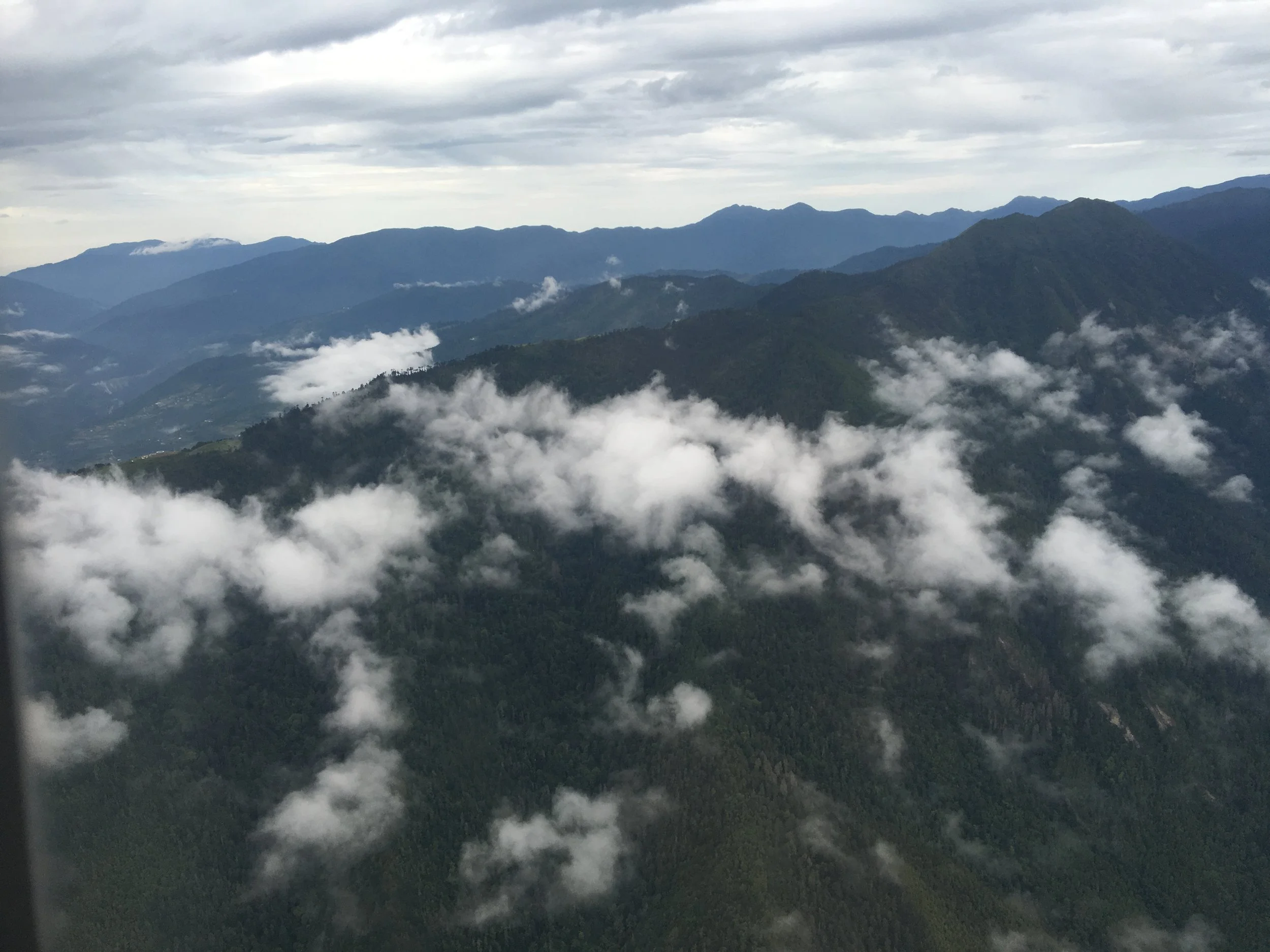 The Role of Fear in Our Lives