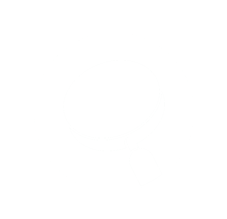 The Hidden Prodigy Project