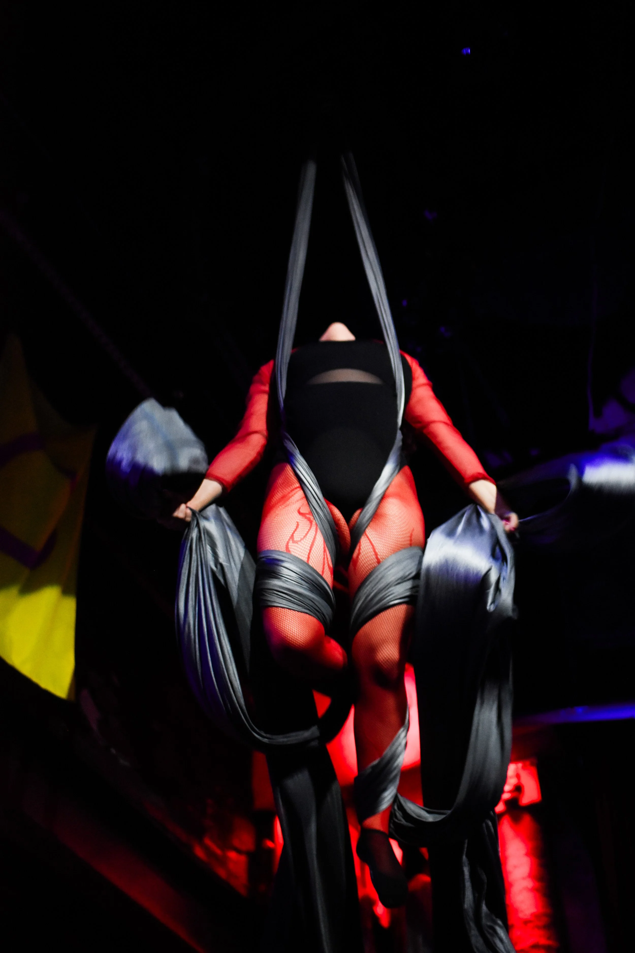 DSC_4956.jpg