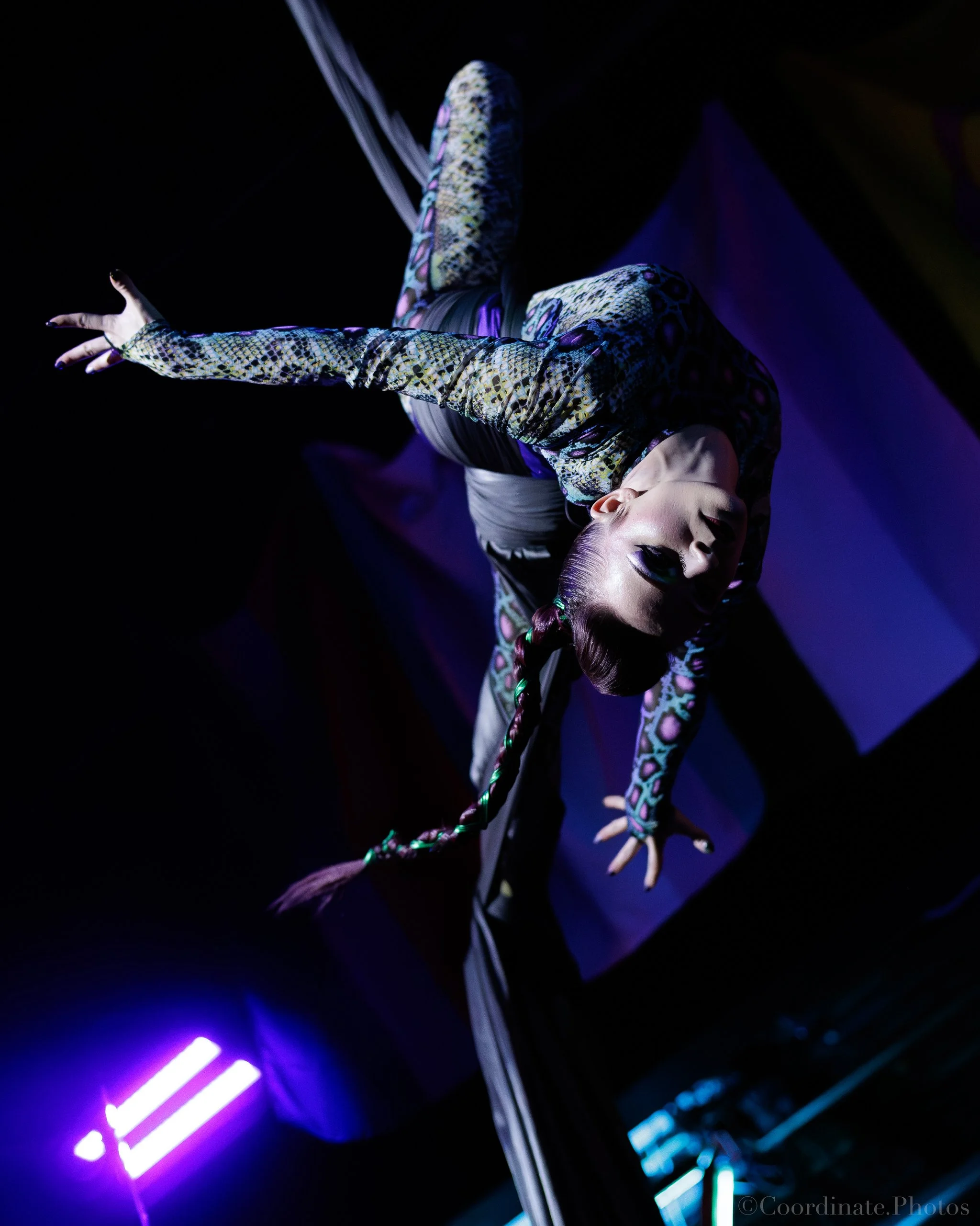 GZ Spring Student Showcase 2026-055.jpg