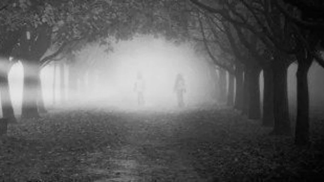 🎉 Don't miss out on my ONLINE 60 Min July Discount! Book your Online - 1 Hour Mediumship Session now and get 20% off using the code OLHOUR20. Normally $225, now available at a special rate. Offer is active, so grab your spot today! 🌟
Learn more and