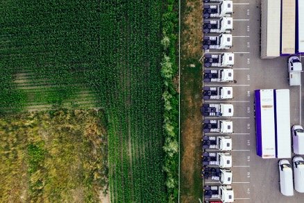 cosco.jpg