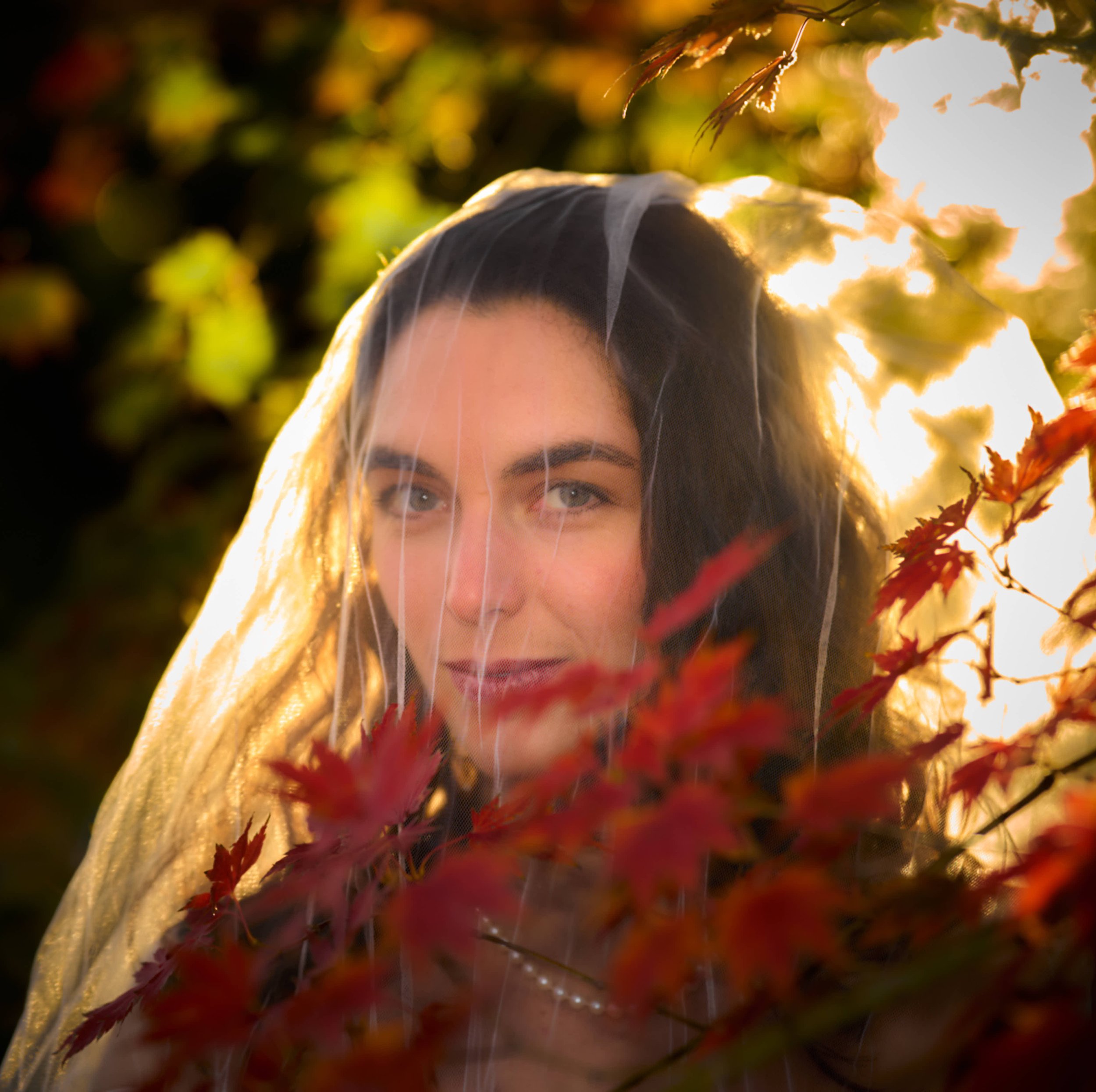 bride in veil backlit by warm autumn sun, foreground of autumnal foliage photograph by Life Times Photography 
