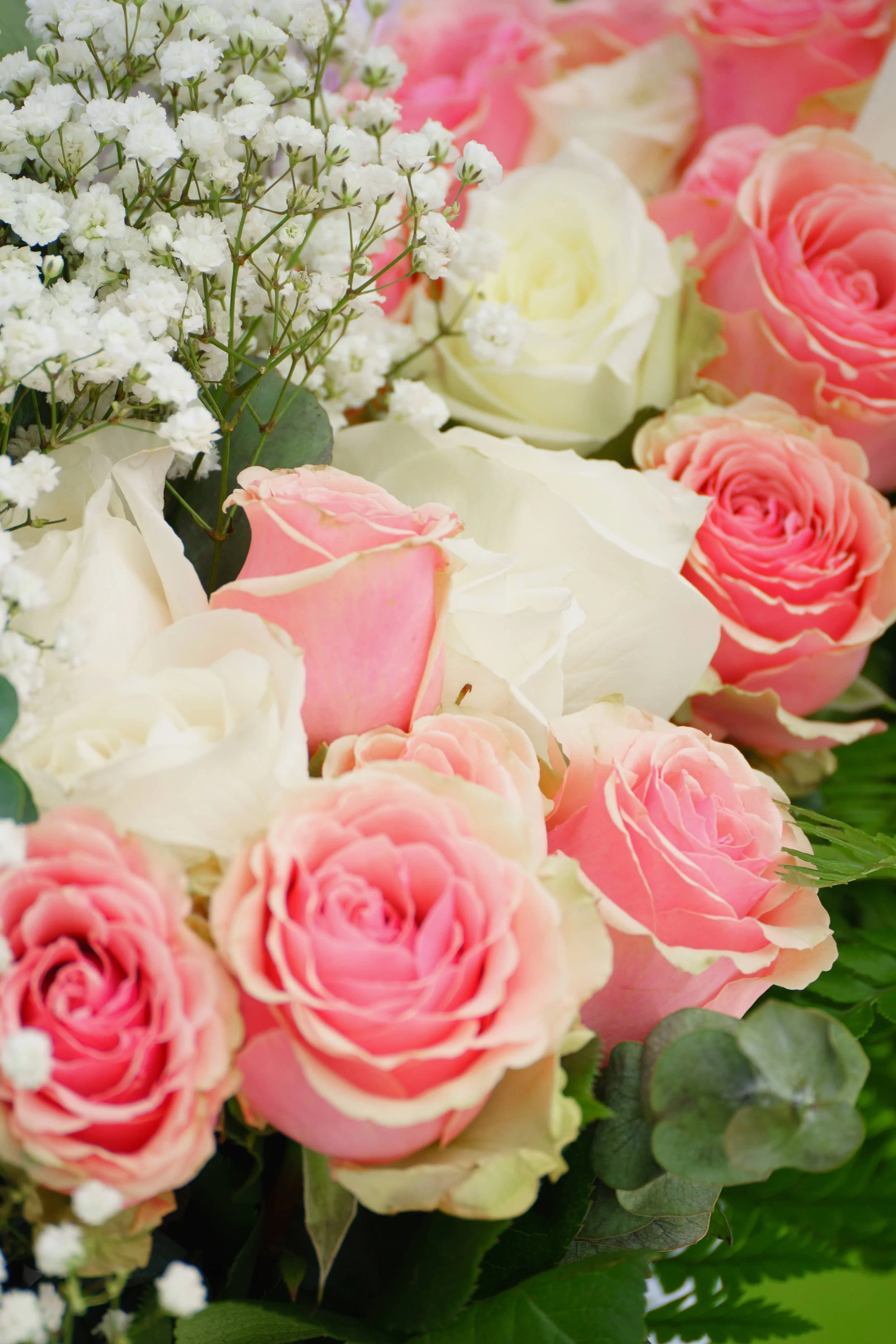 oink and white wedding roses photograph by Life Times Photography