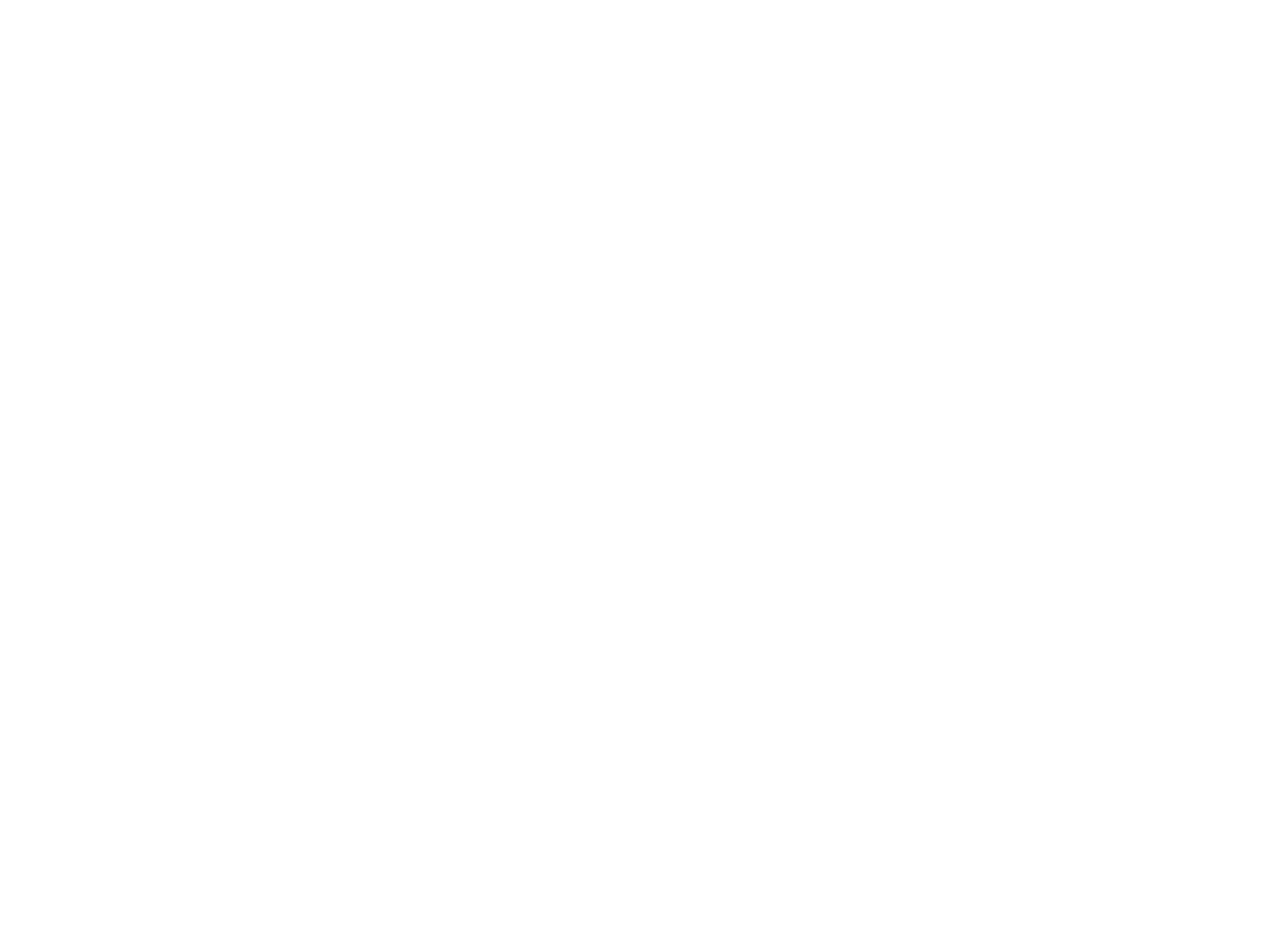 Stylé Cruze logo on a black background