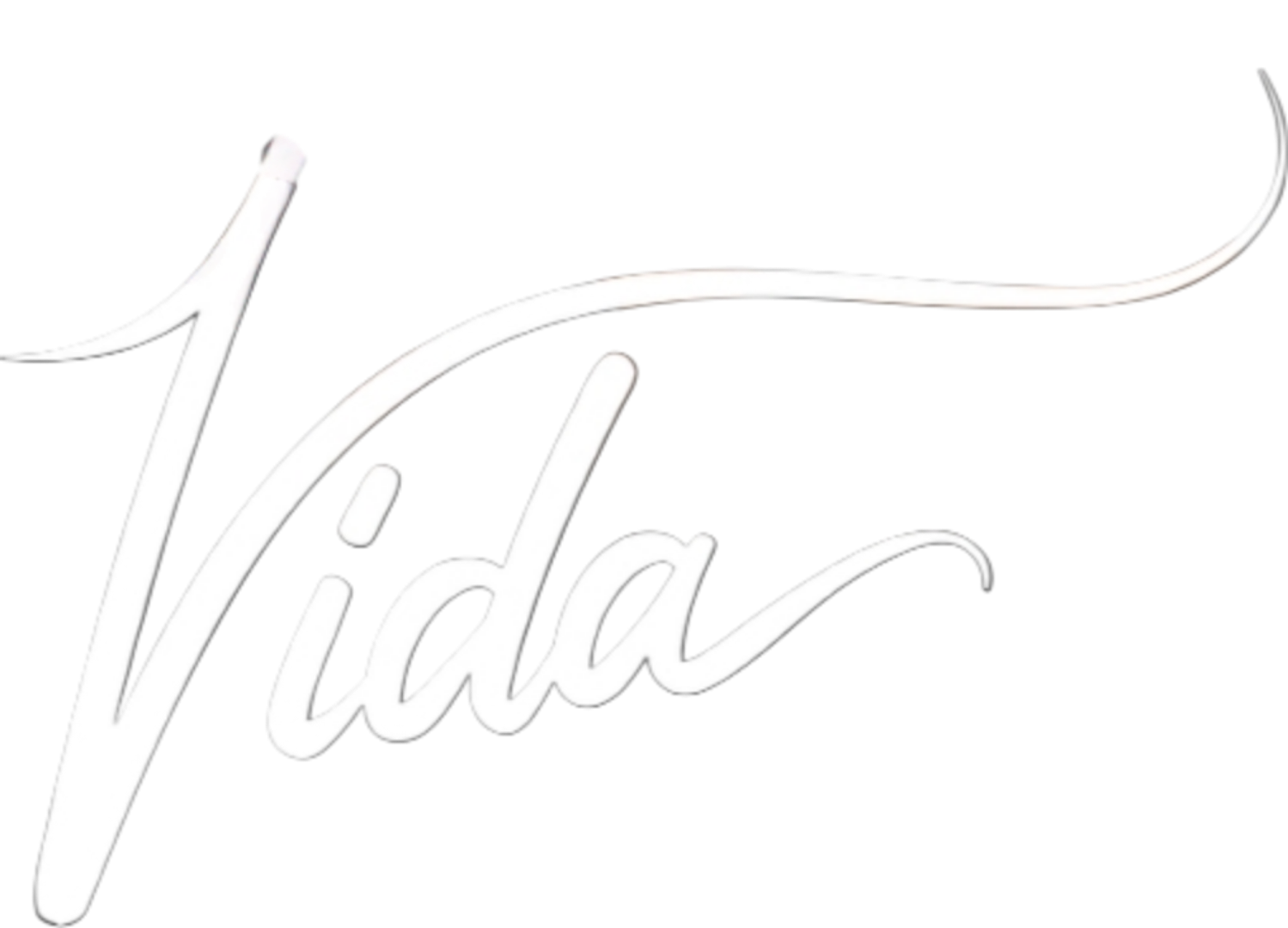 Cursive text spelling "Vida" in white against black background.