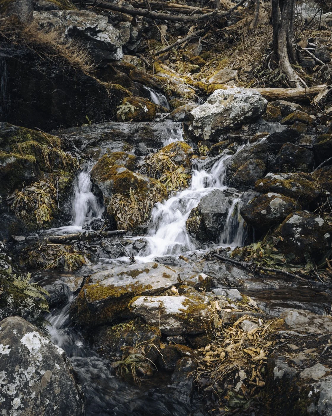 A small mountain stream flowing over moss-covered rocks in a forested area during autumn.