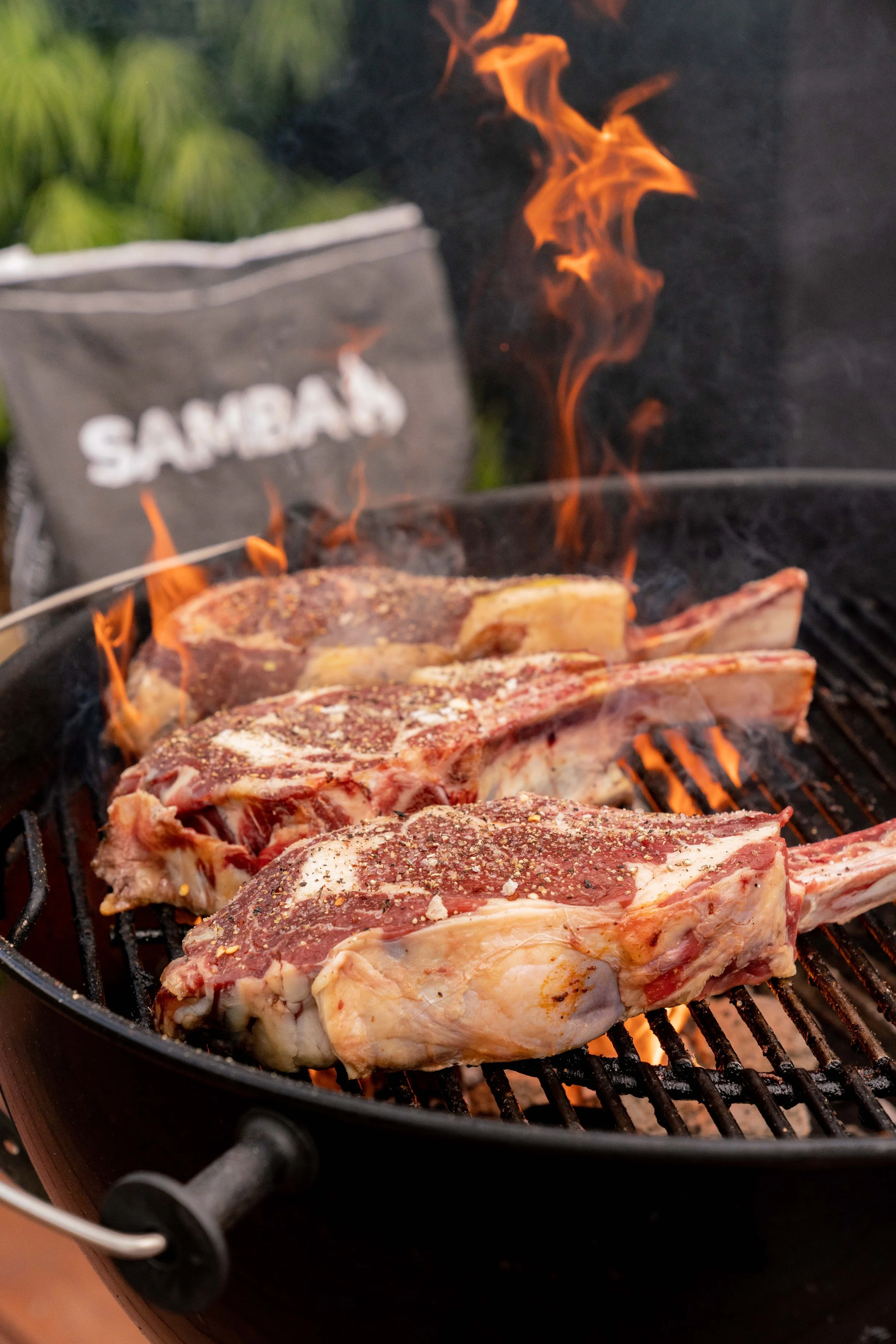 Content Refresh_Samba_October2021-331.jpg