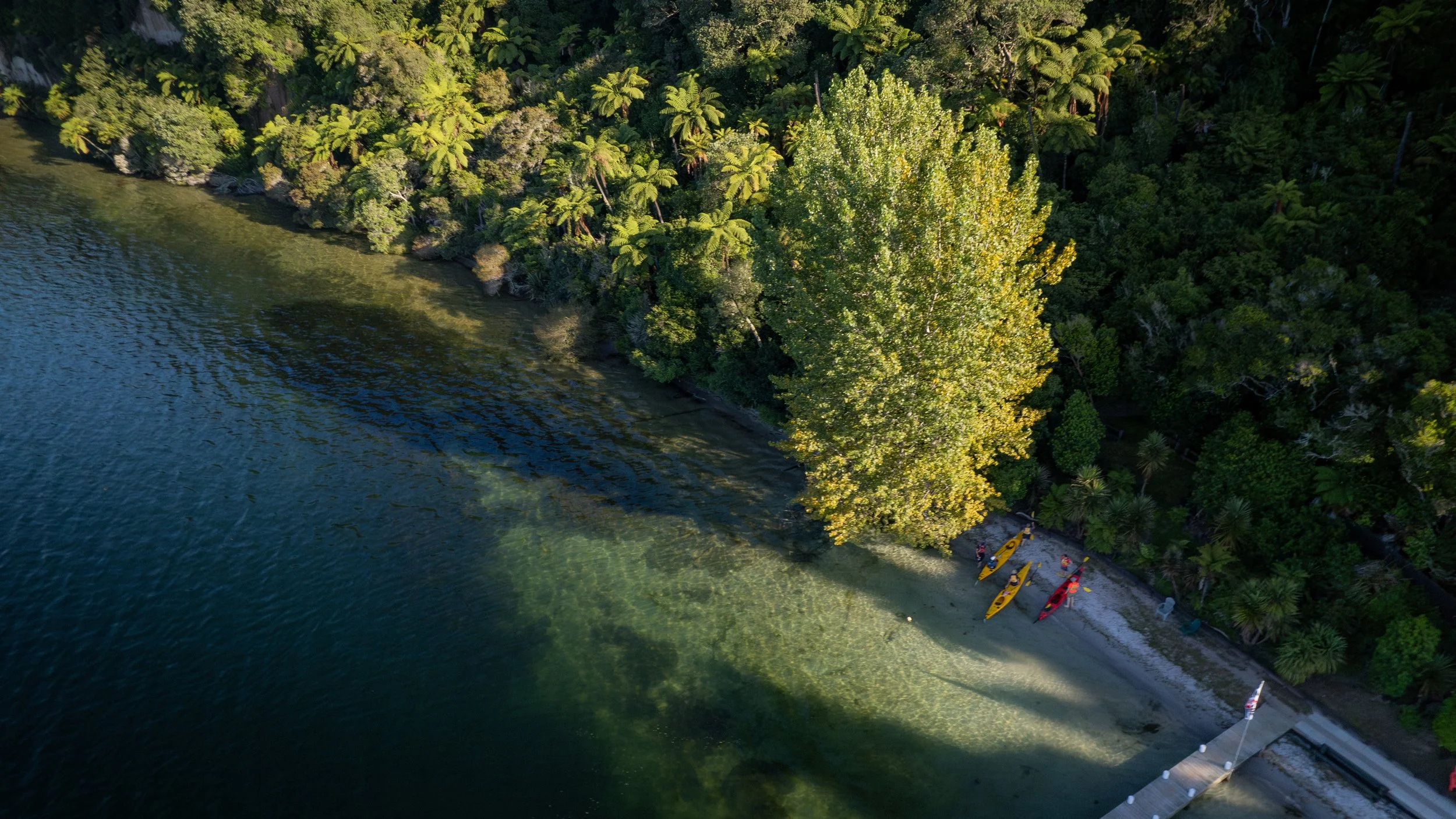Lake Rotoiti Hot Pools_February 2026-16.jpg