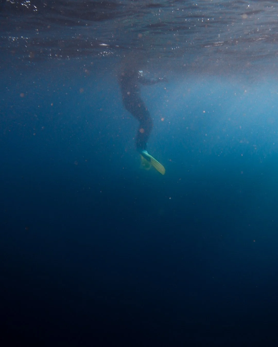Under Water (1 of 1).JPG