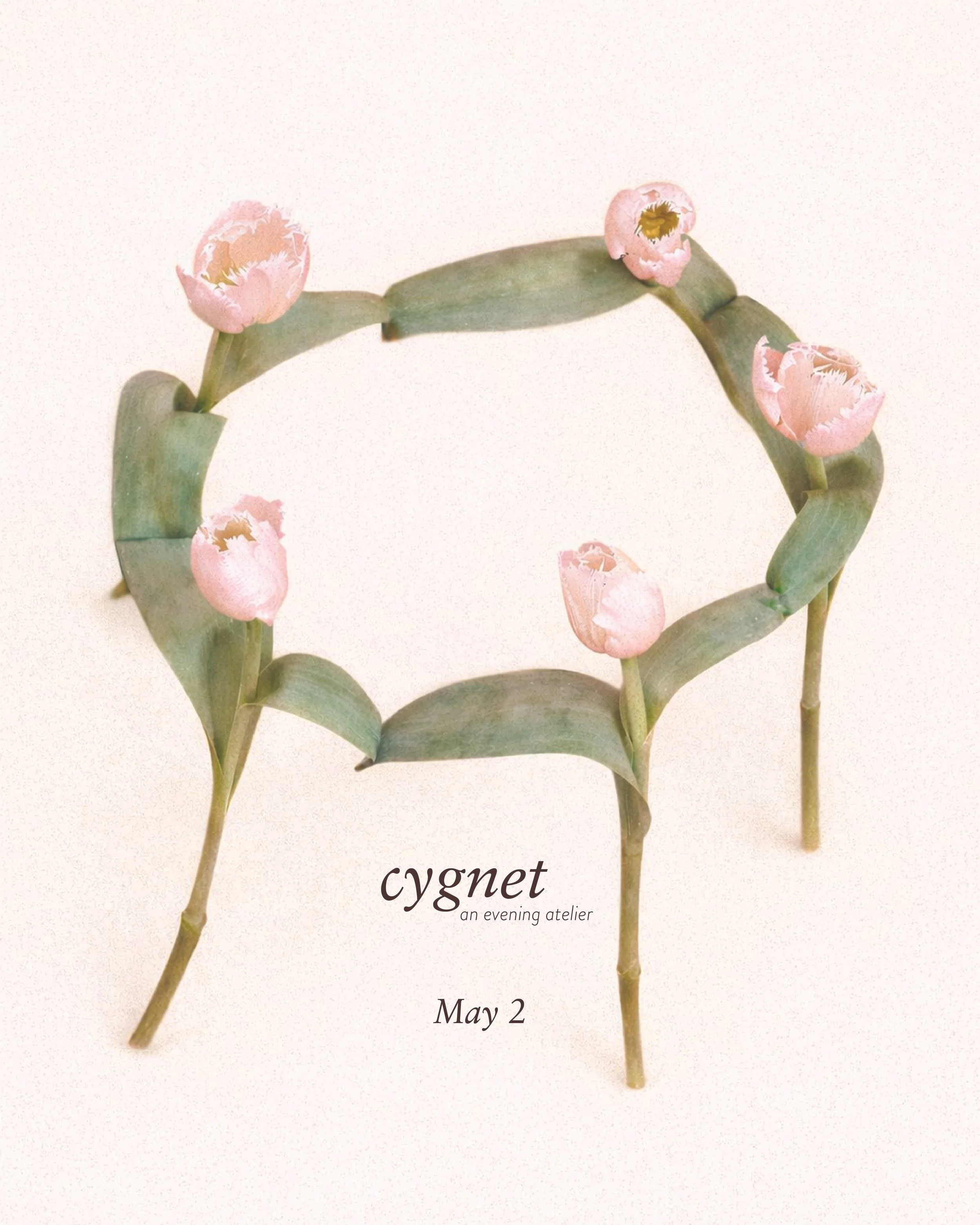 Cygnet