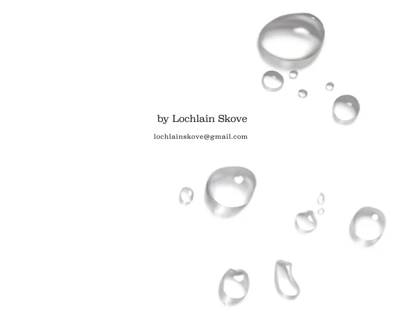 Lochlain_Skove_FinalProject9.jpg