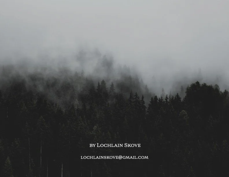 LochlainSkove_finalportfolio21.jpg
