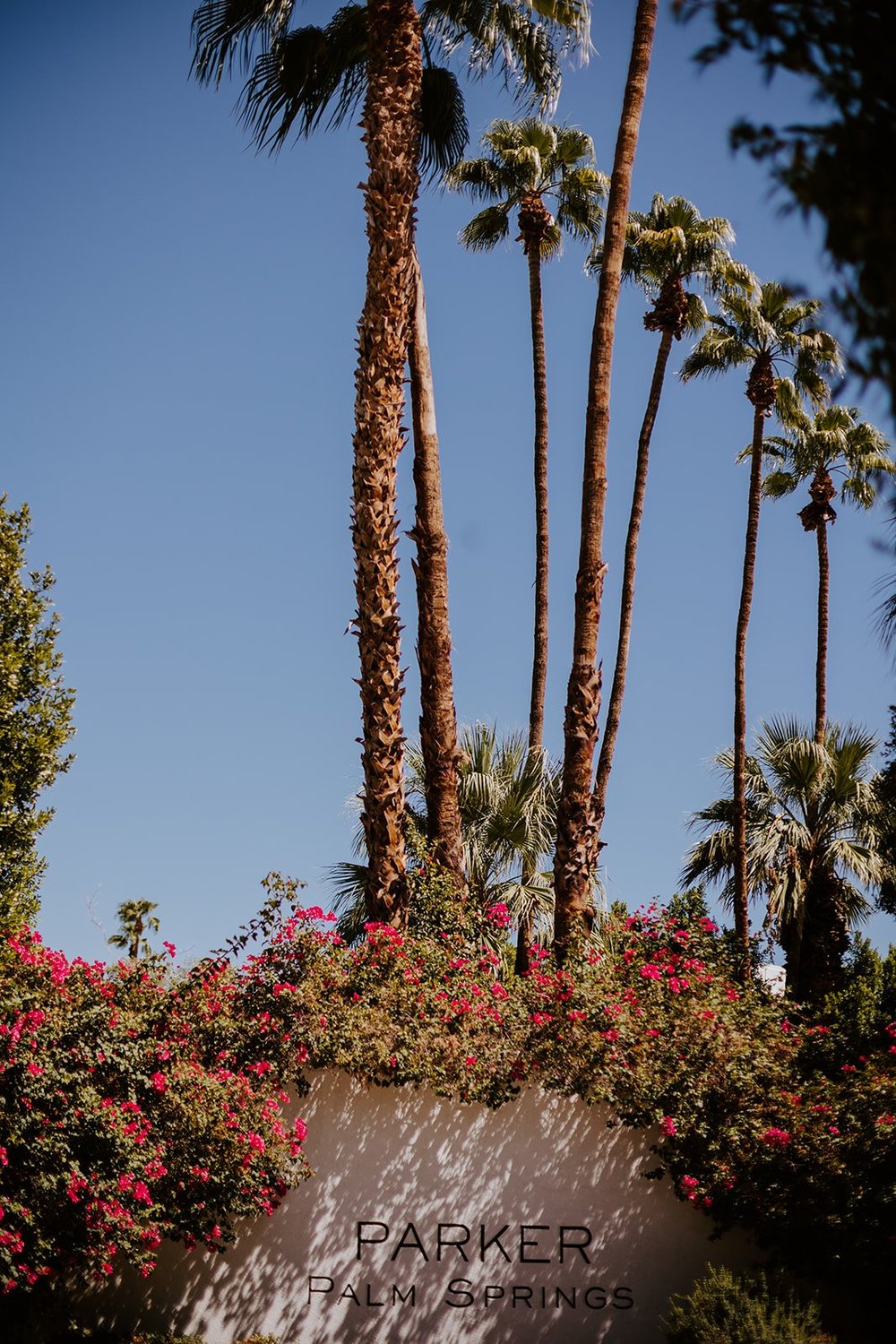 Parker Palm Springs Hotel, photo by Tida Svy Photography