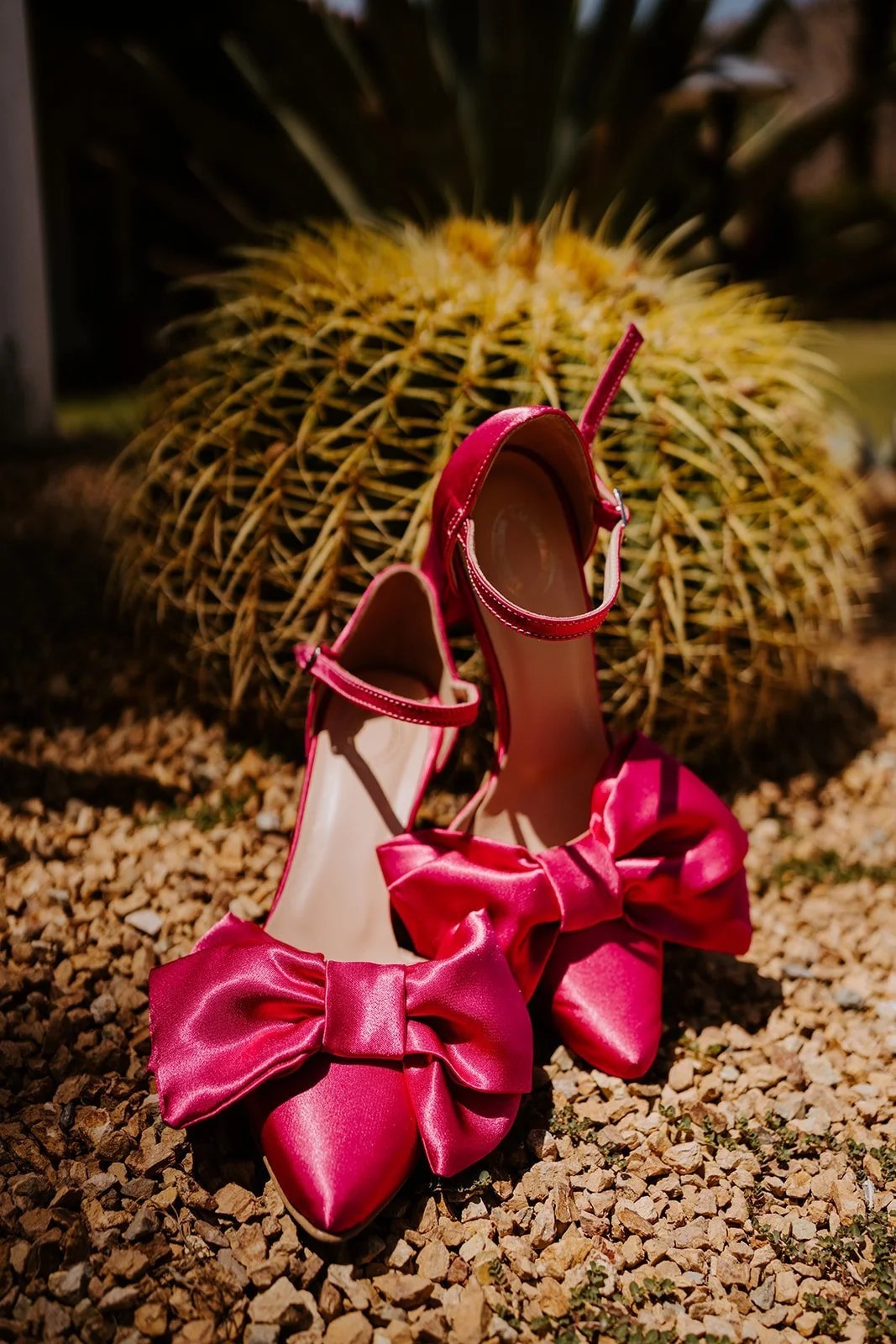 quinn-dennis-wedding-bride-getting-ready-tida-svy-photography-6.jpg