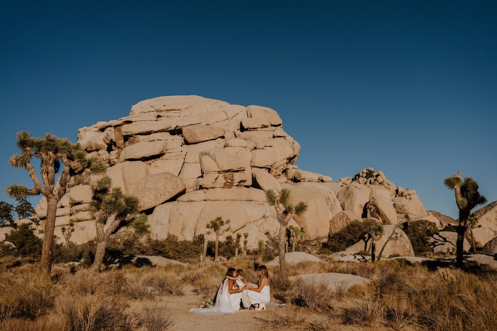 Emotional LGBTQ Joshua Tree National Park elopement, Photo by Tida Svy