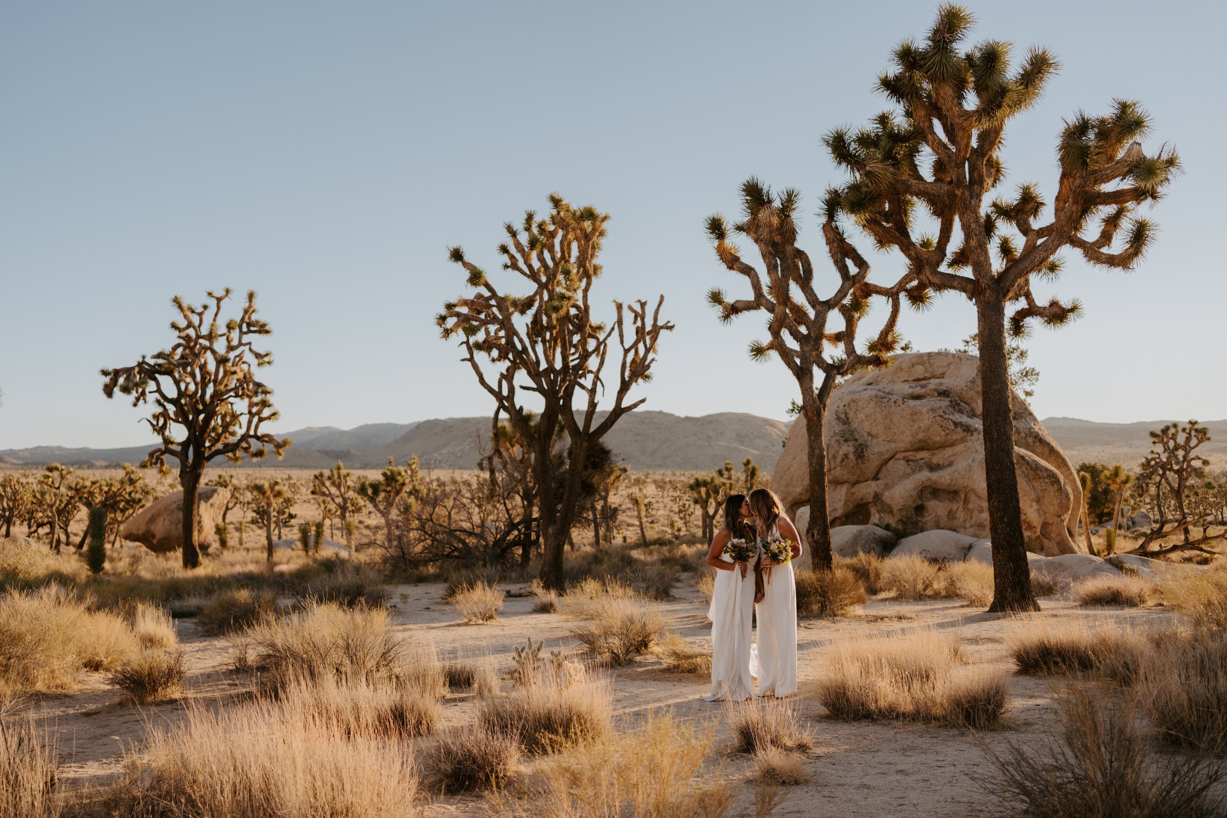 LGBTQ Joshua Tree elopement photographer, Tida Svy