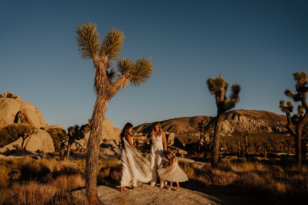 Sunset Joshua Tree elopement, Joshua Tree desert wedding photographer Tida Svy