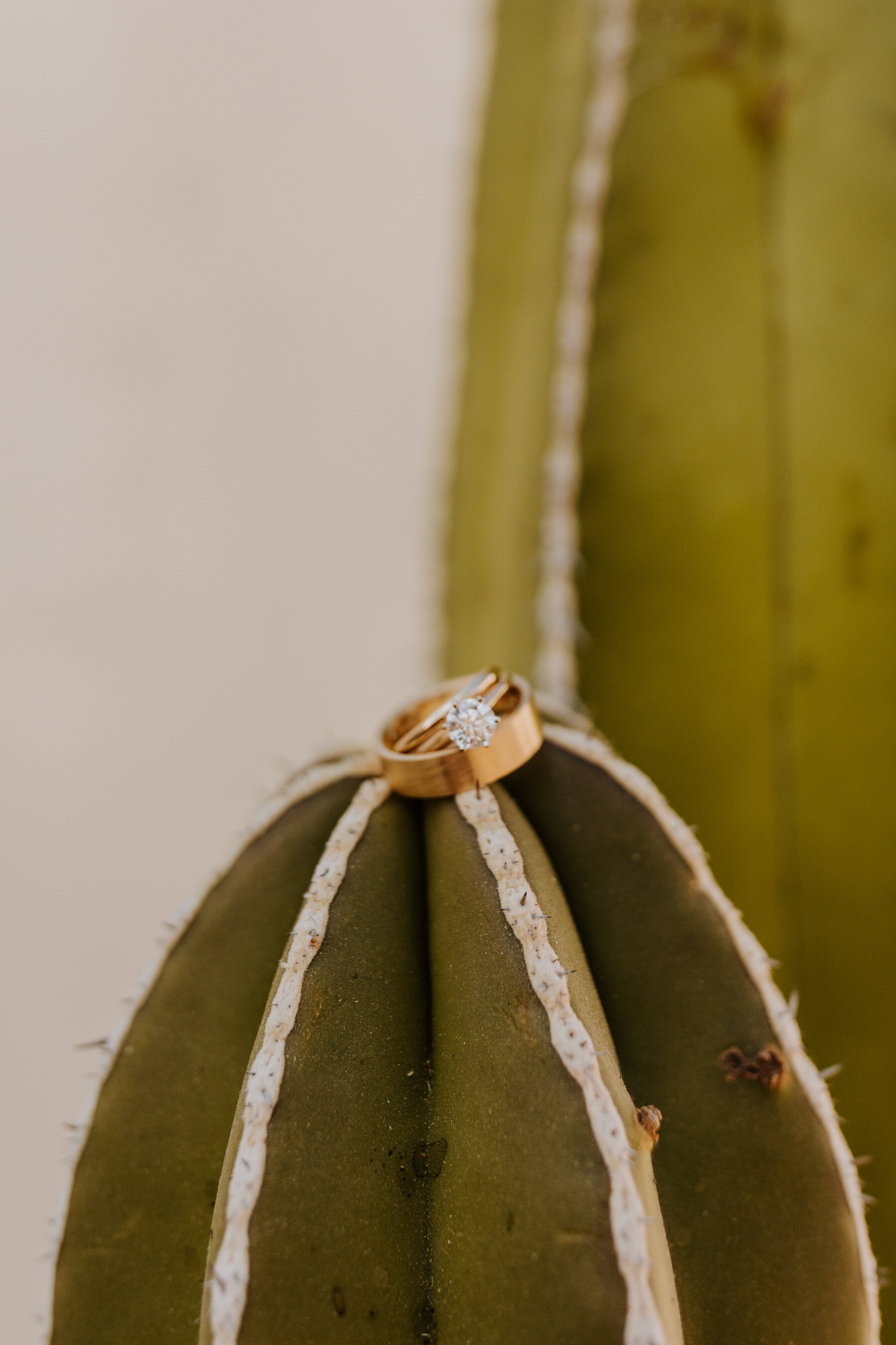Ring on Cactus Detail, La Serena Villas Palm Springs, Palm Springs Wedding Photographer, Photo by Tida Svy